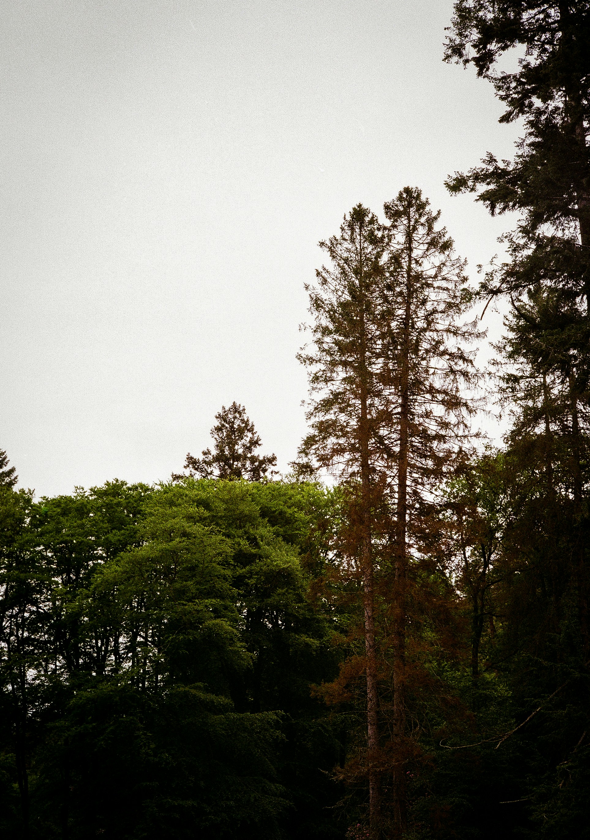 Photo by andysong1023