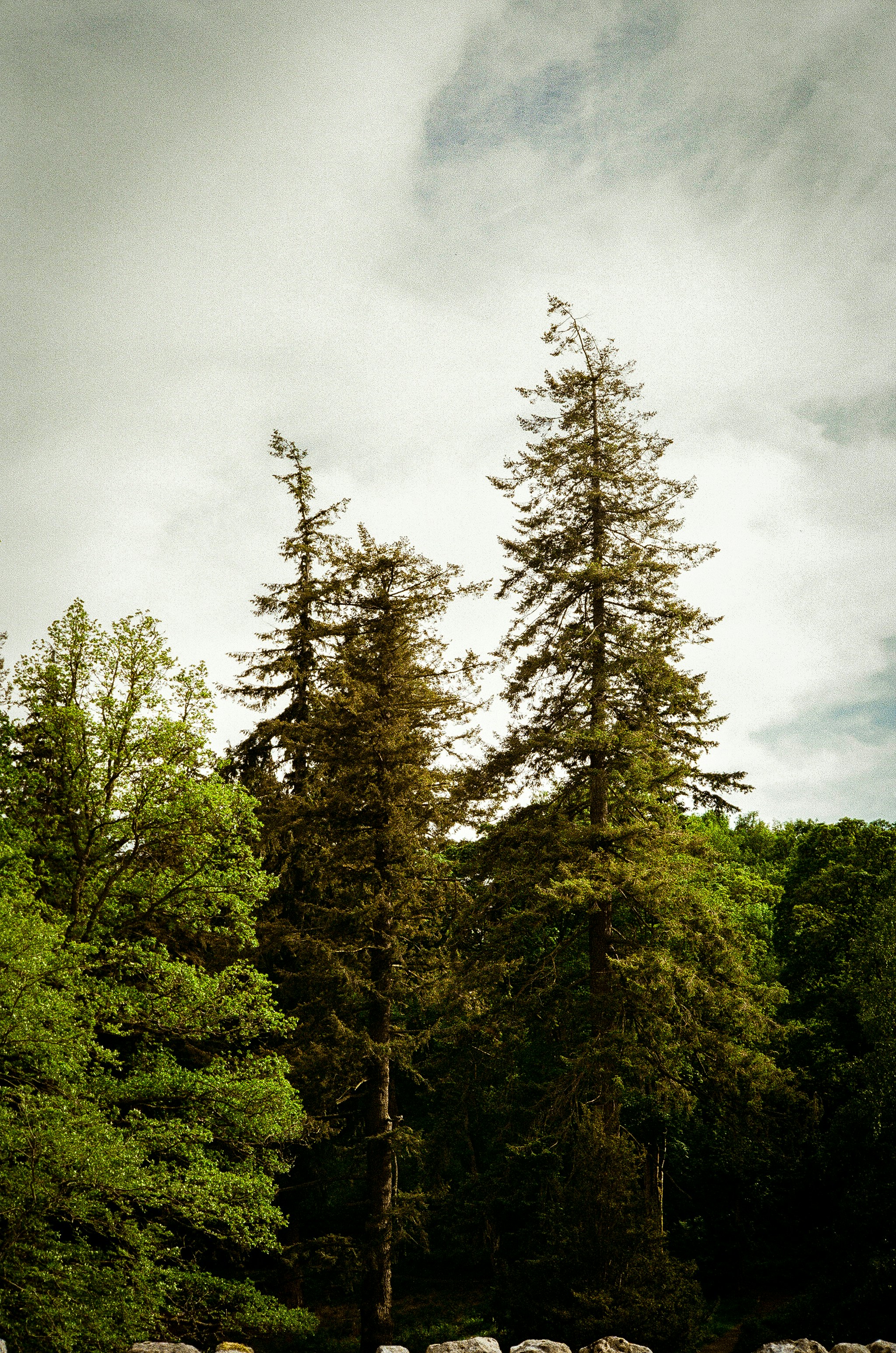 Photo by andysong1023