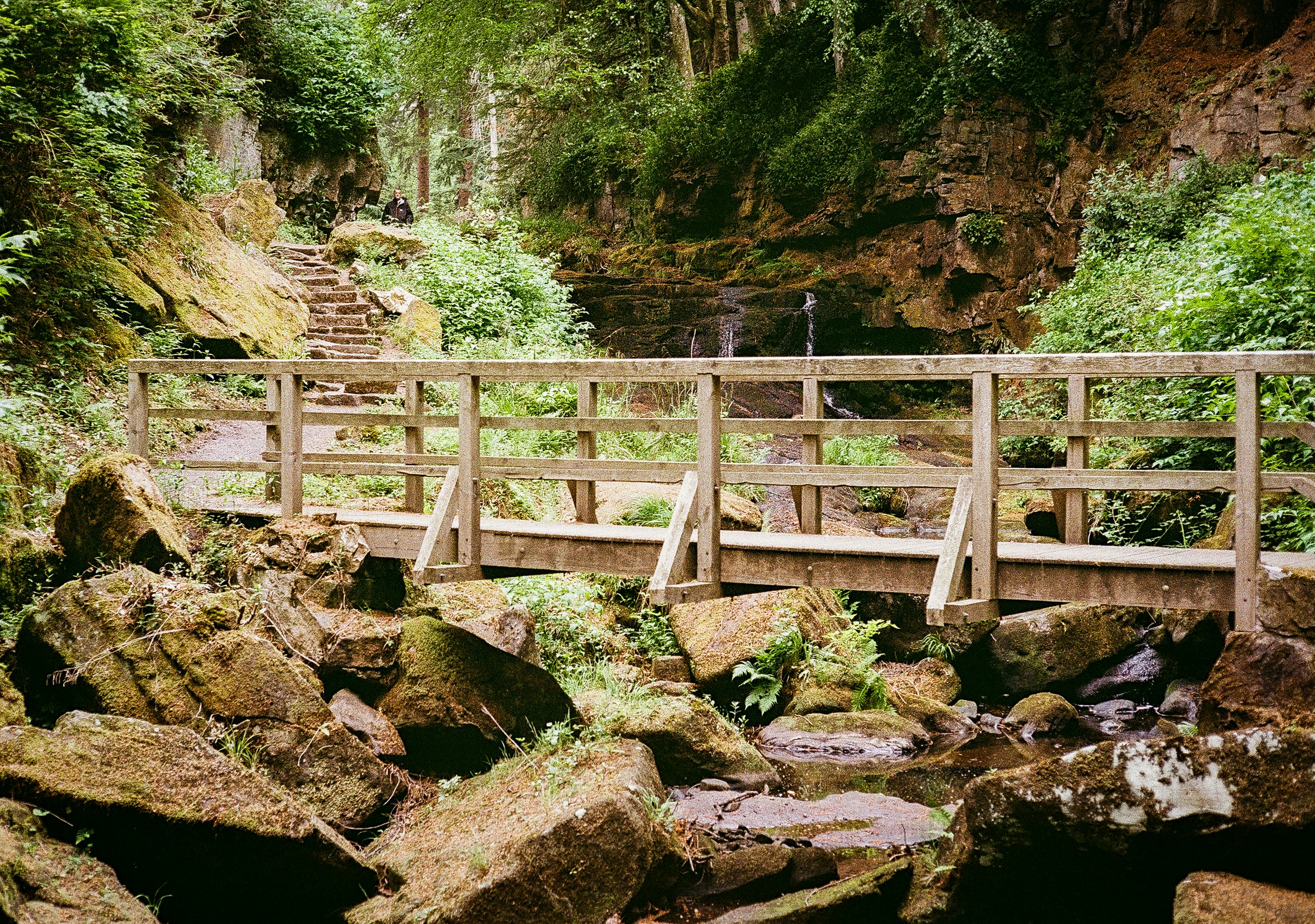 Photo by andysong1023