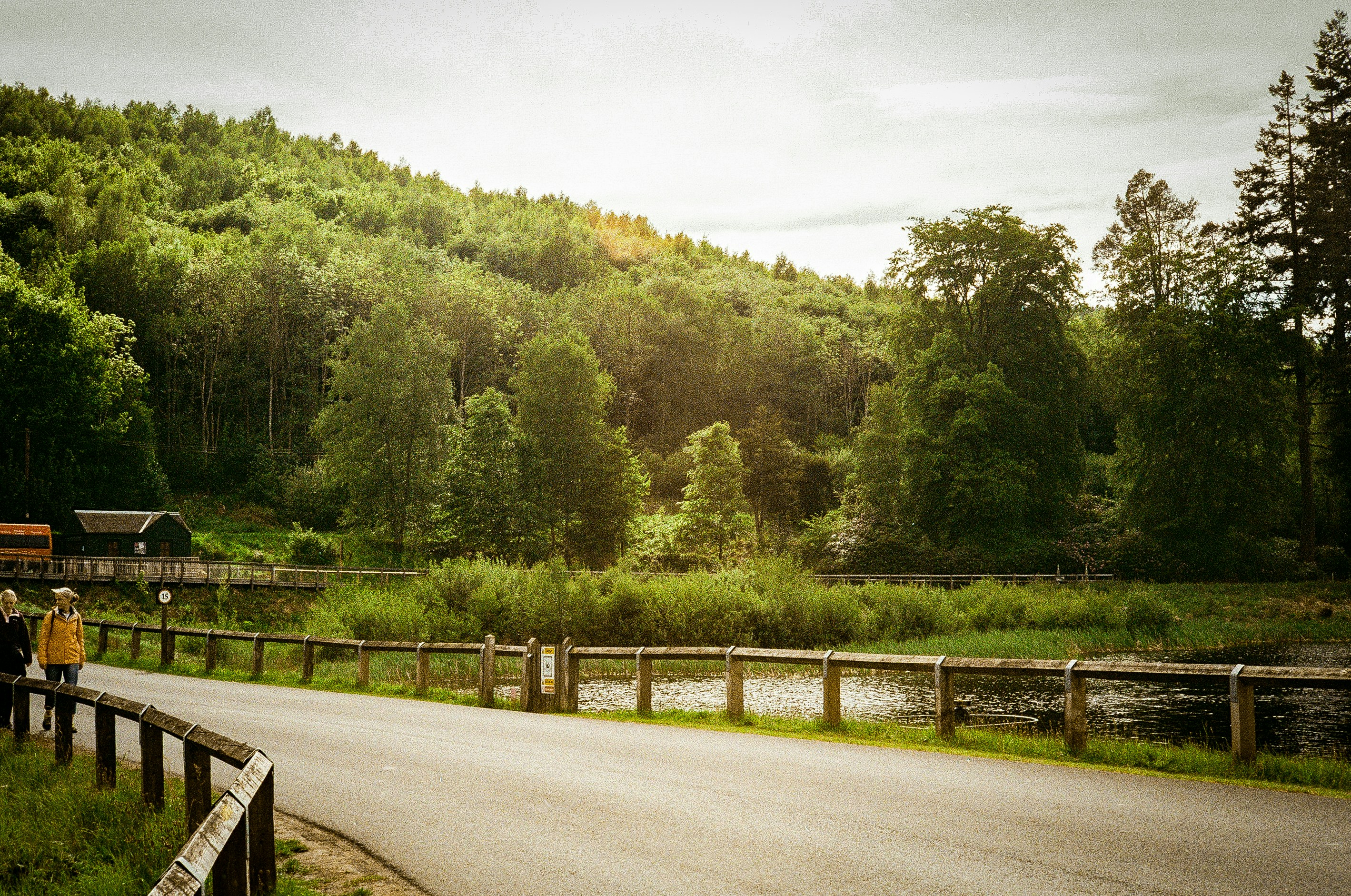 Photo by andysong1023