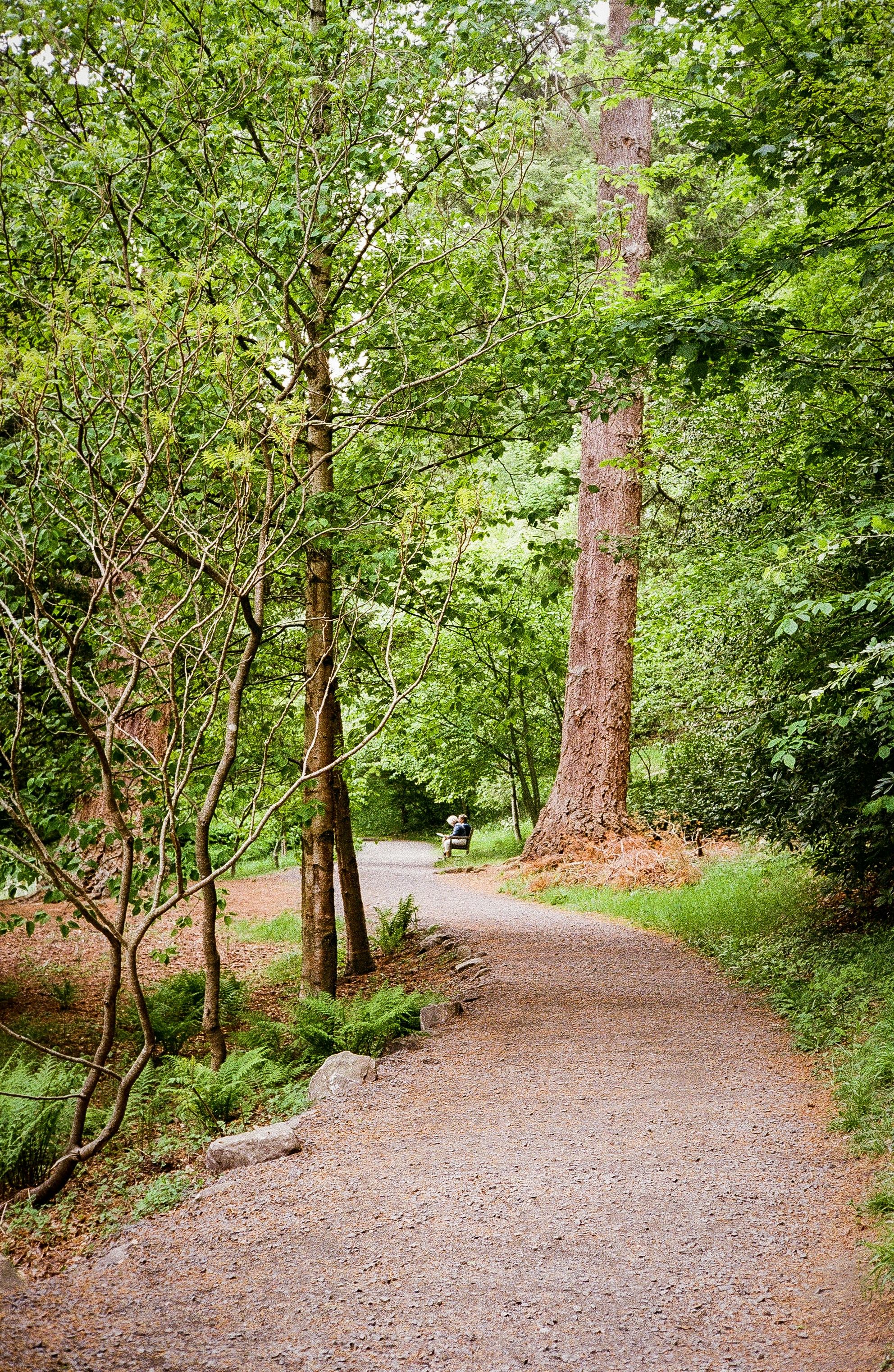 Photo by andysong1023