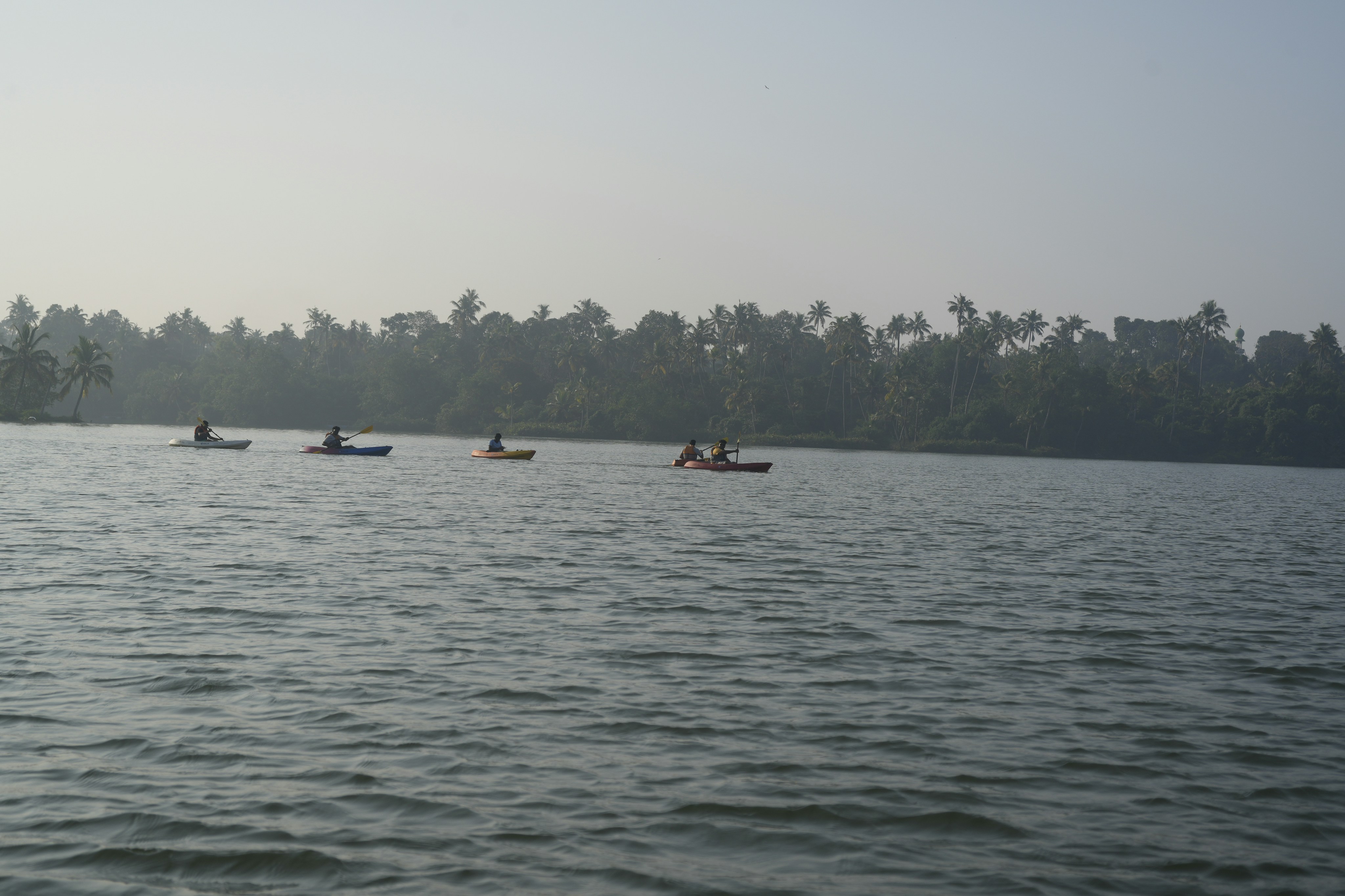 People kayaking on a wide river with trees