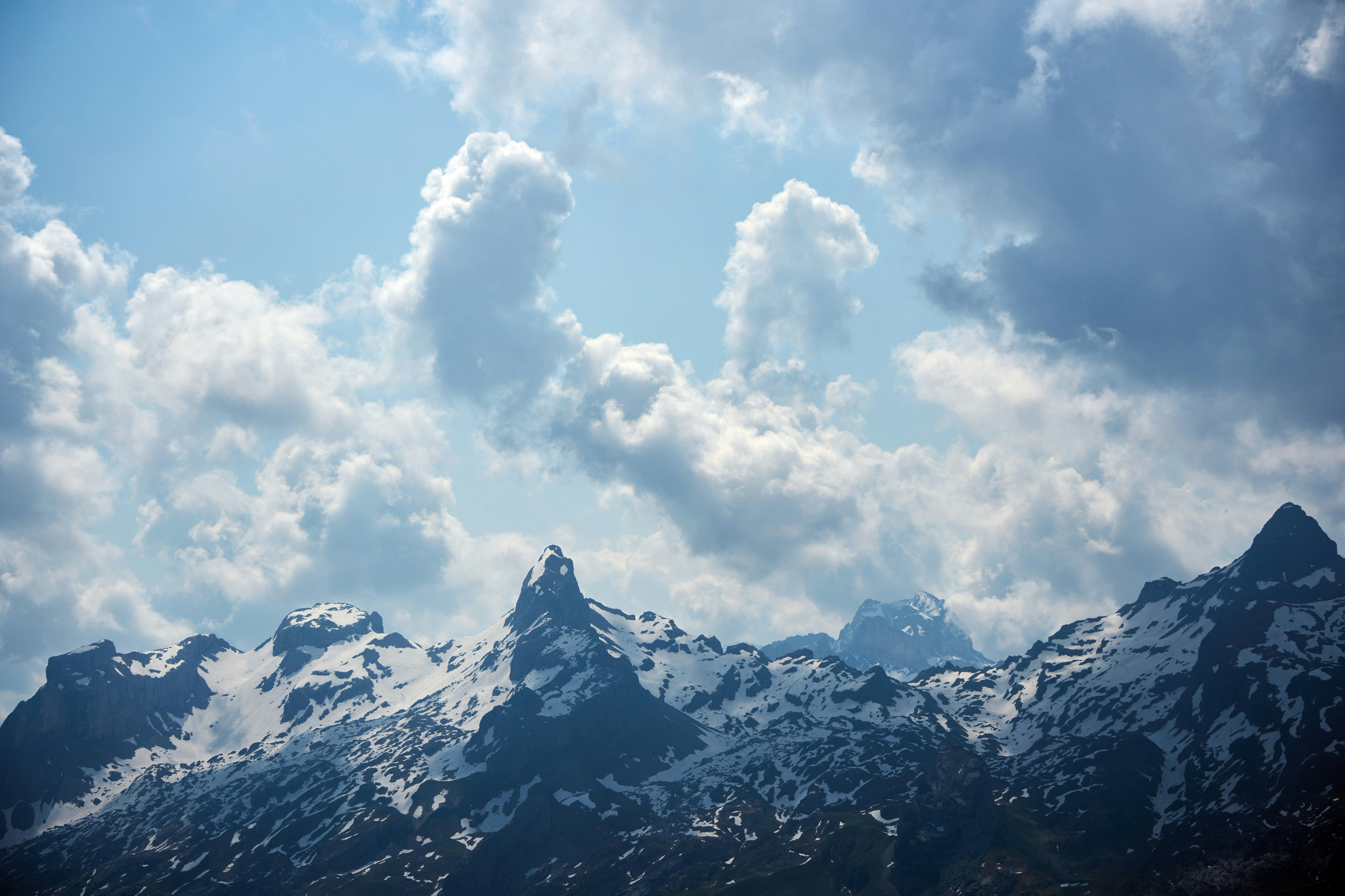 Photo by wolfgang_hasselmann