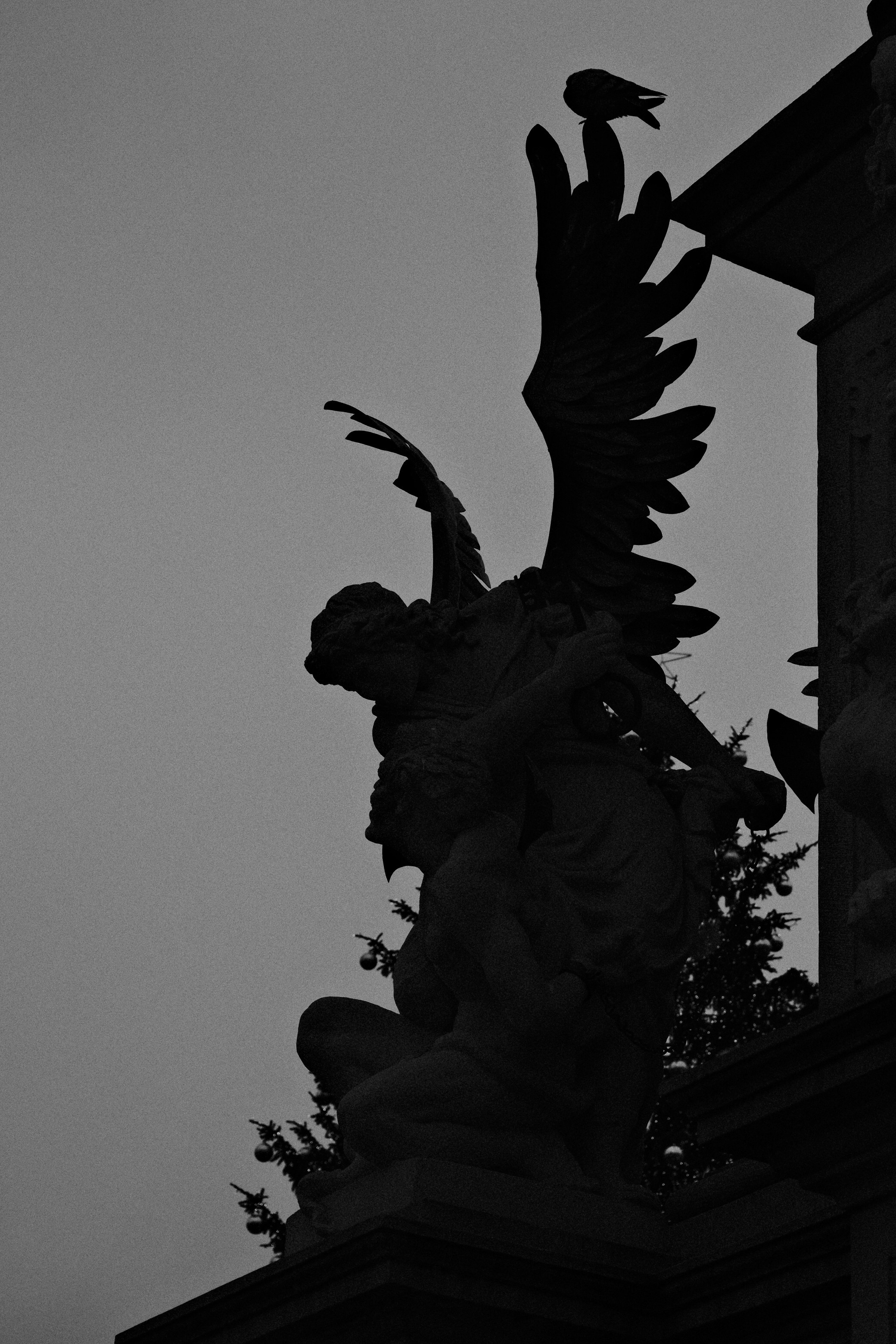 Photo by raulmermans