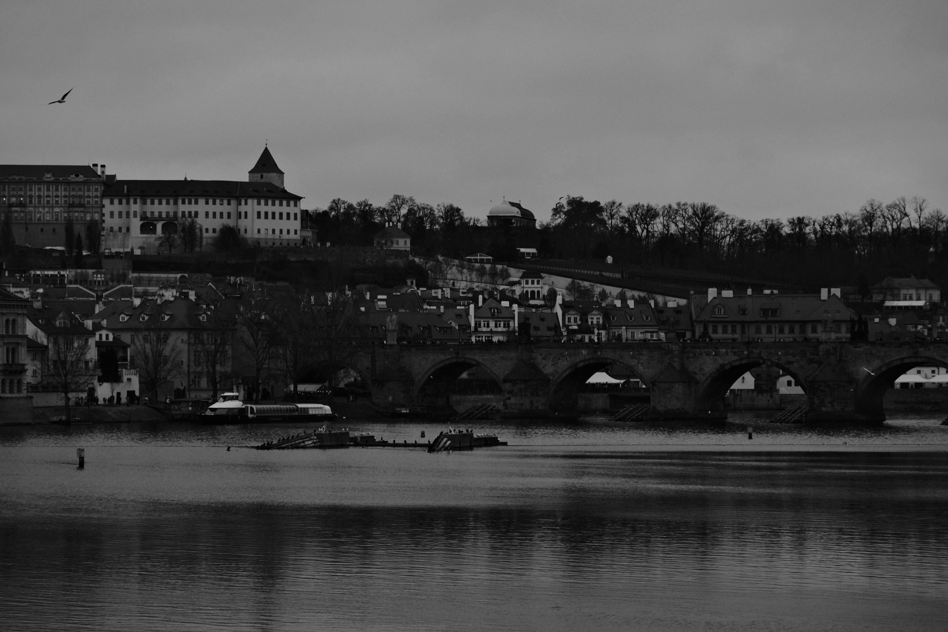 Photo by raulmermans