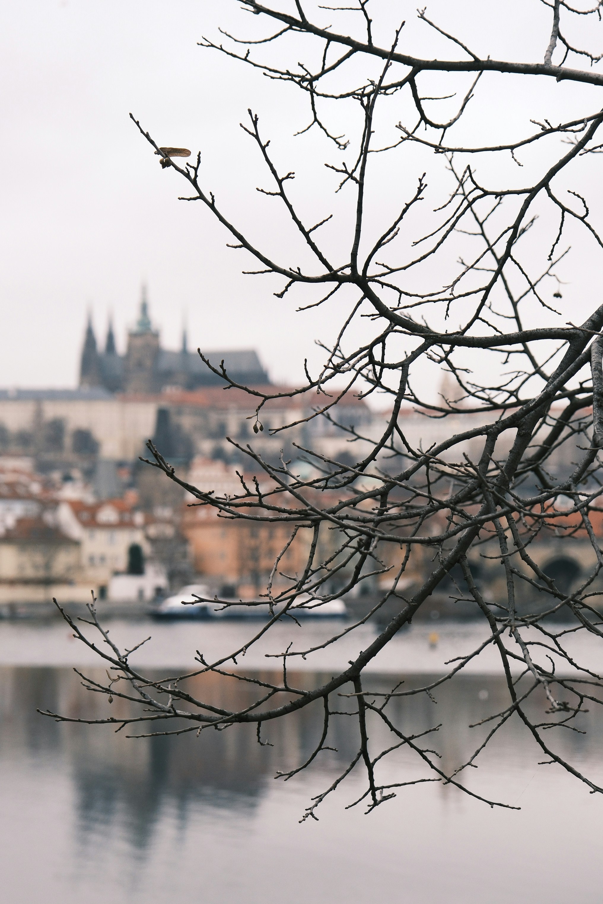 Photo by raulmermans