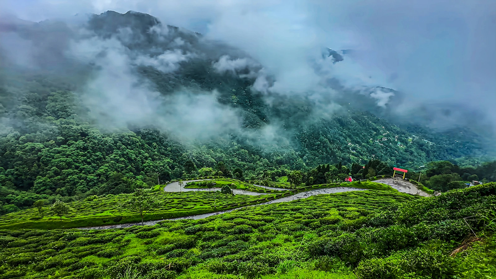 Darjeeling