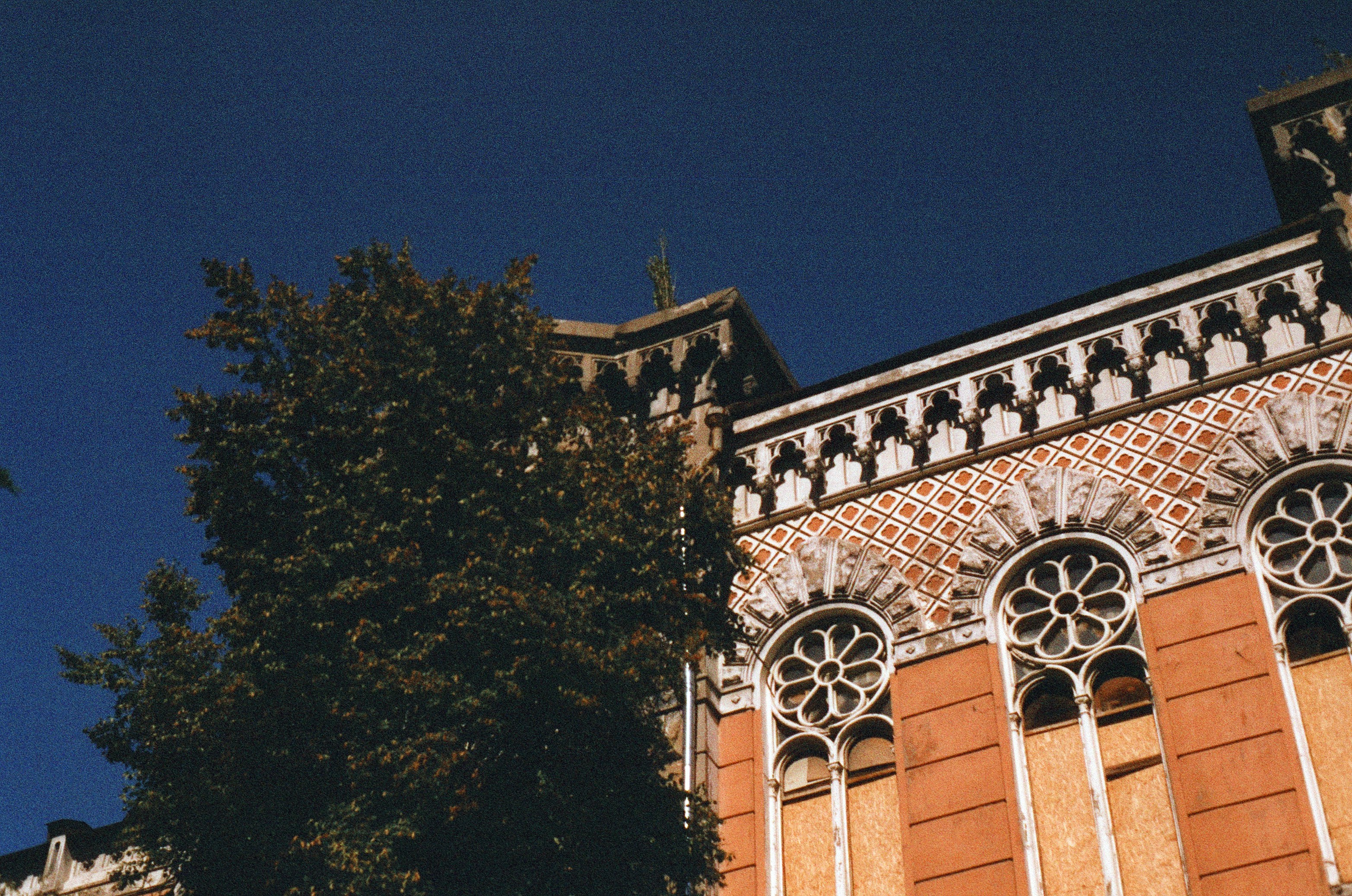 Photo by nikkoz_design