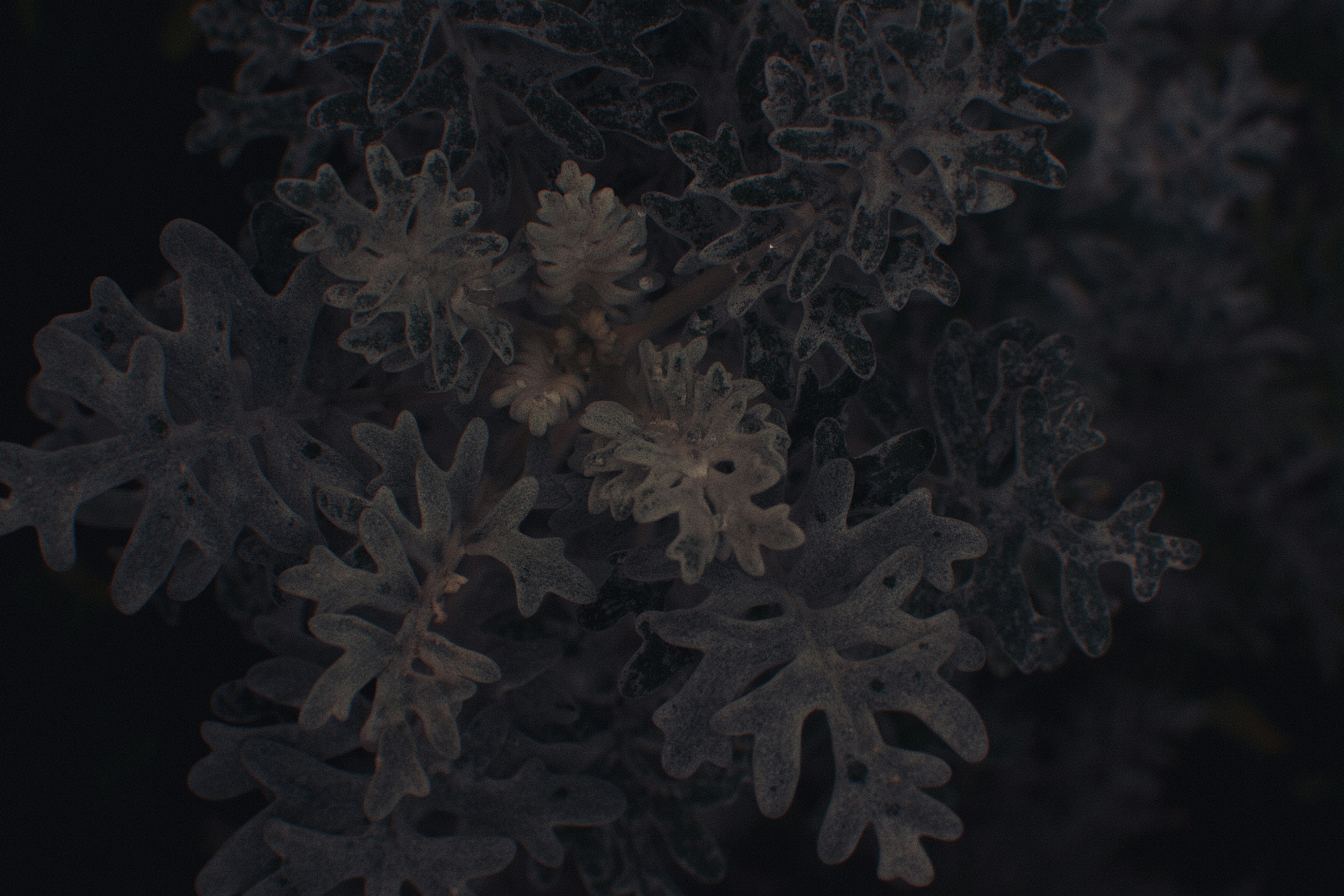 Photo by adamboukhris