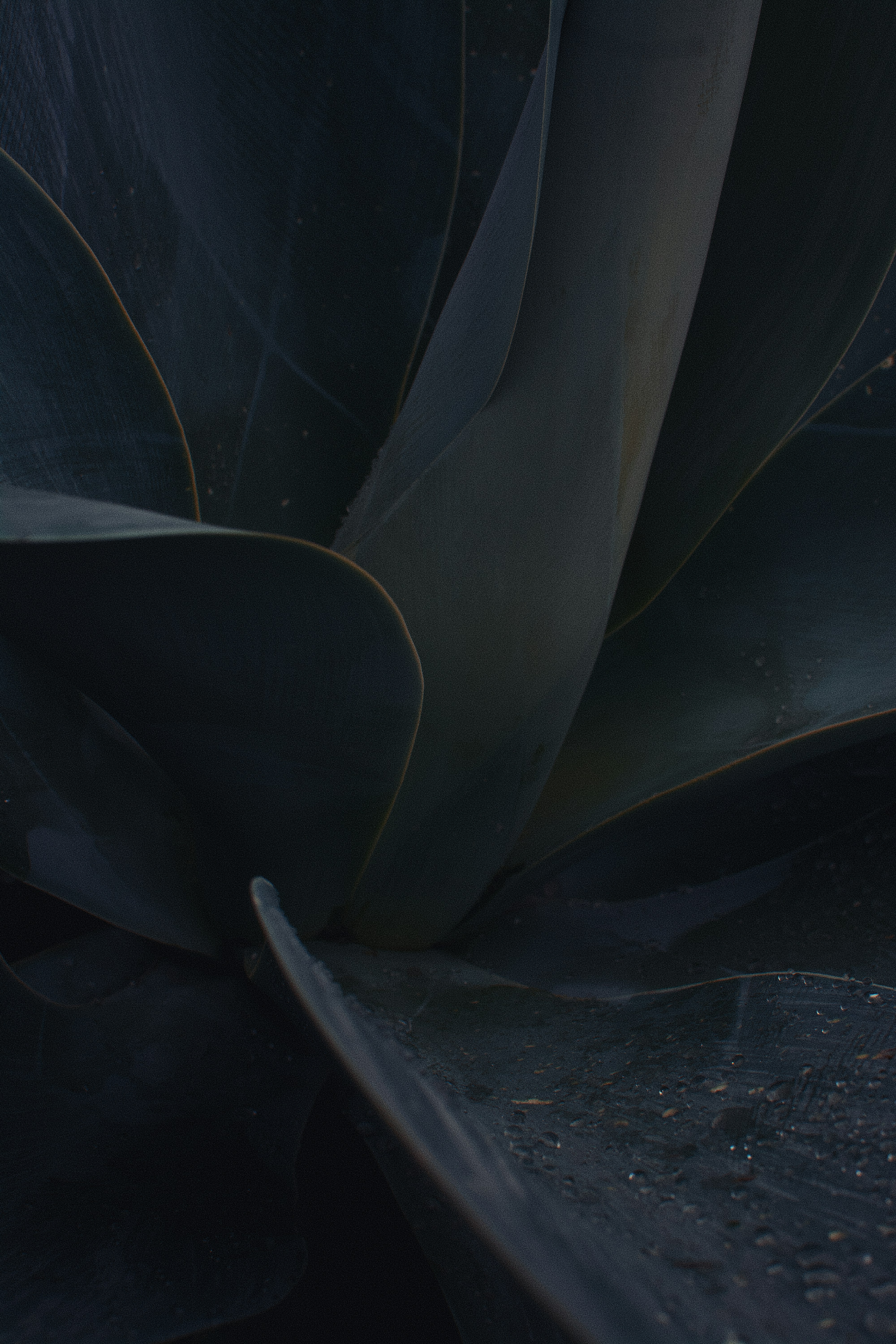 Photo by adamboukhris