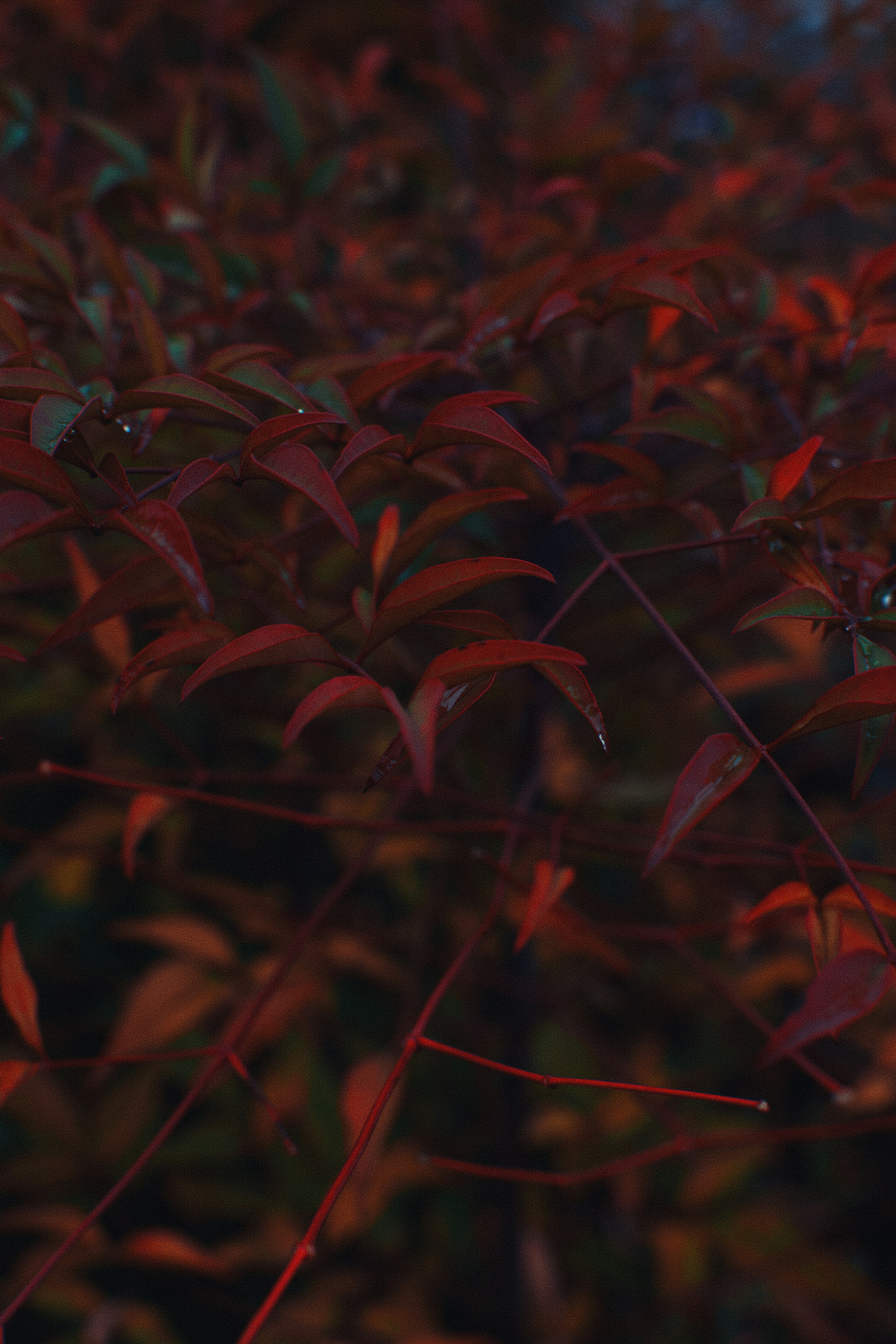 Photo by adamboukhris