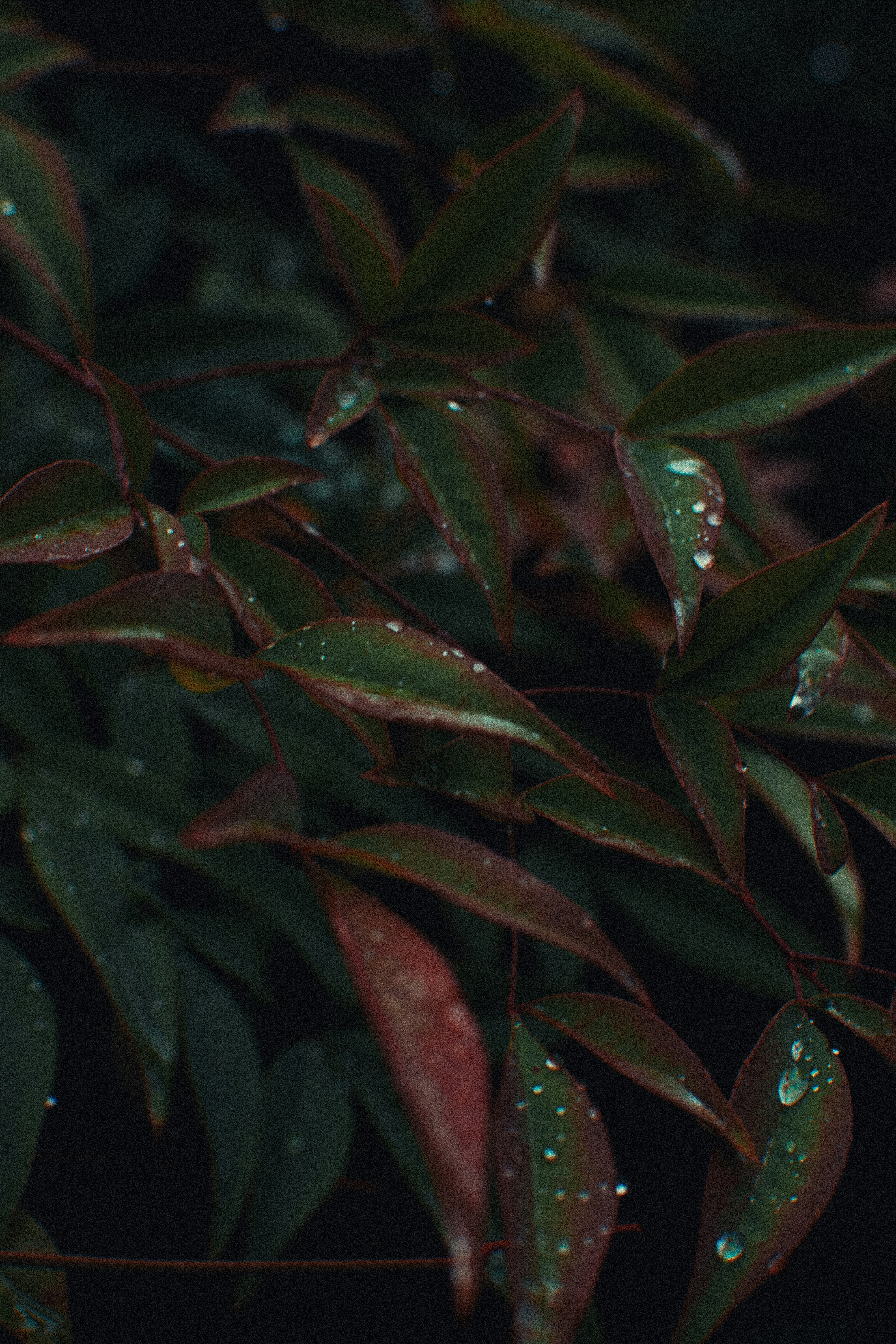 Photo by adamboukhris