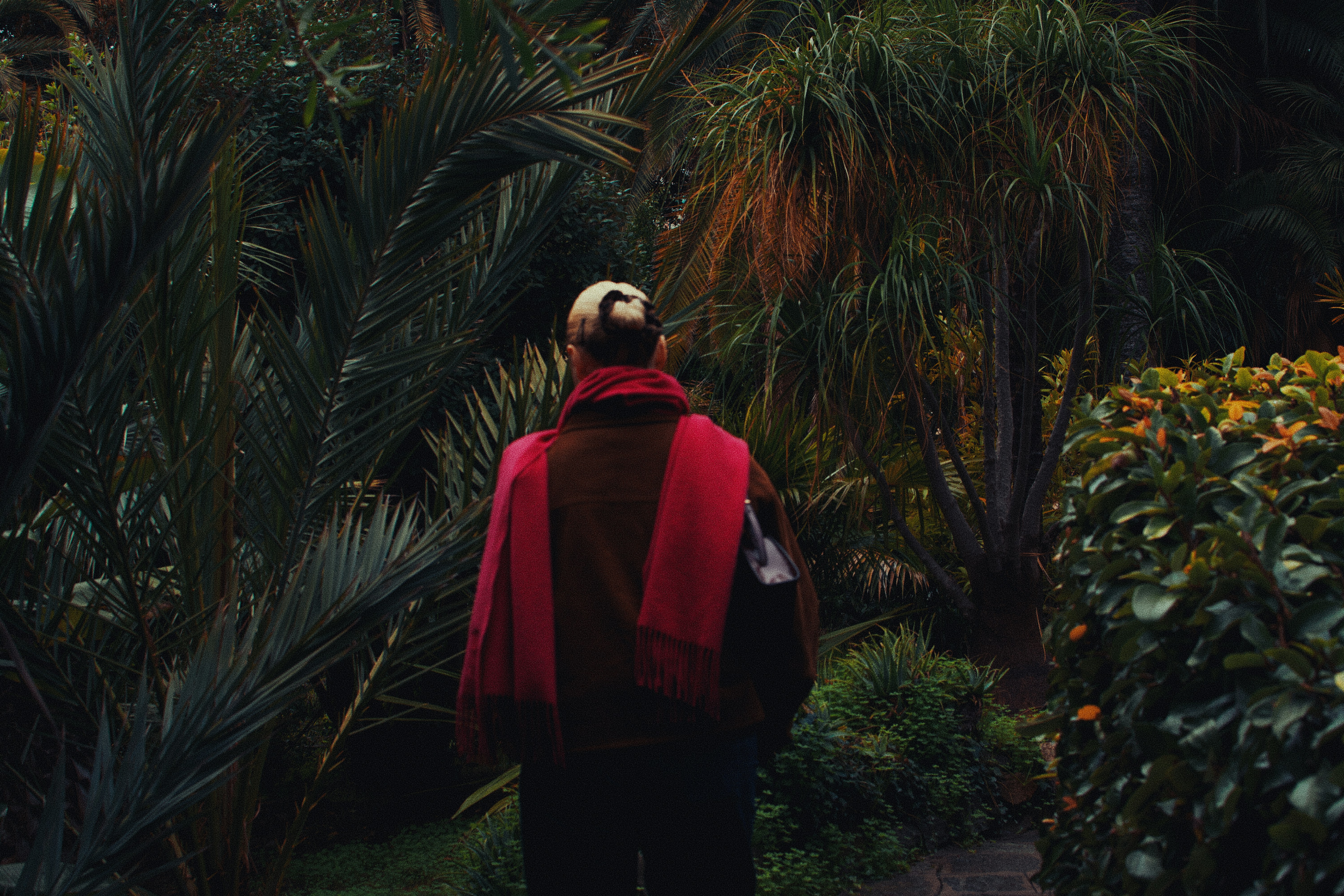 A person walking through lush tropical plants, captured from behind in a quiet, cinematic garden scene.