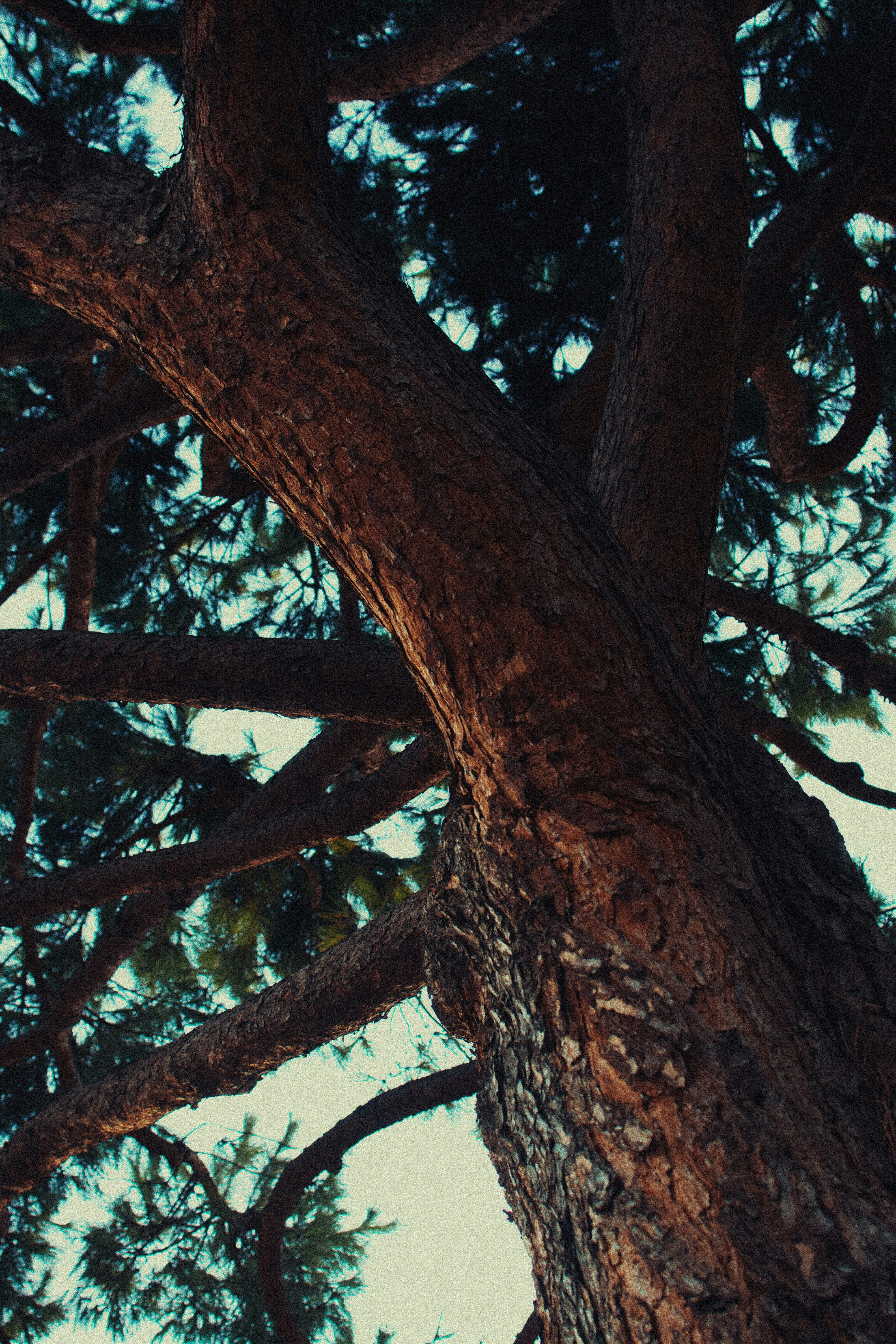 Photo by adamboukhris