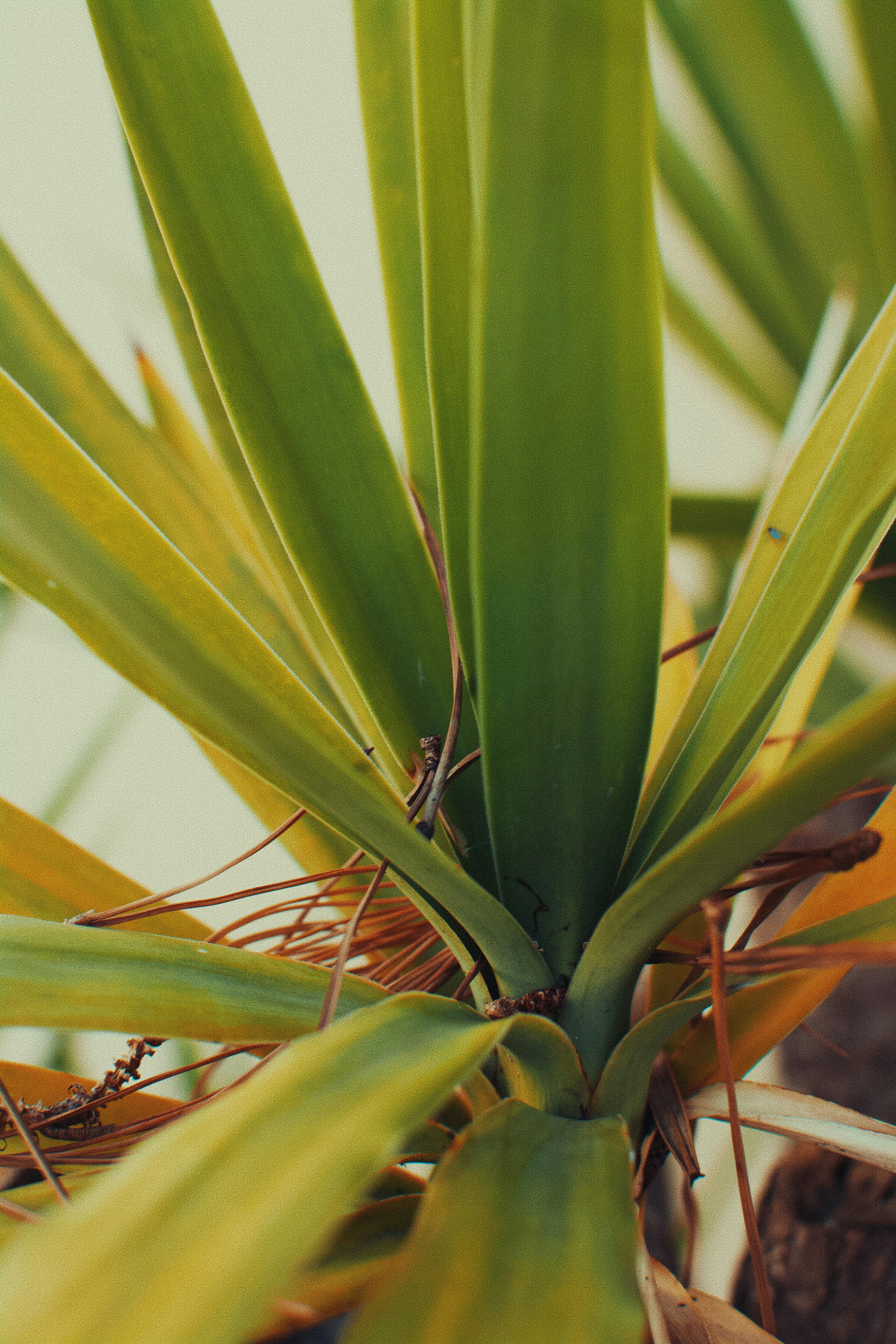 Photo by adamboukhris