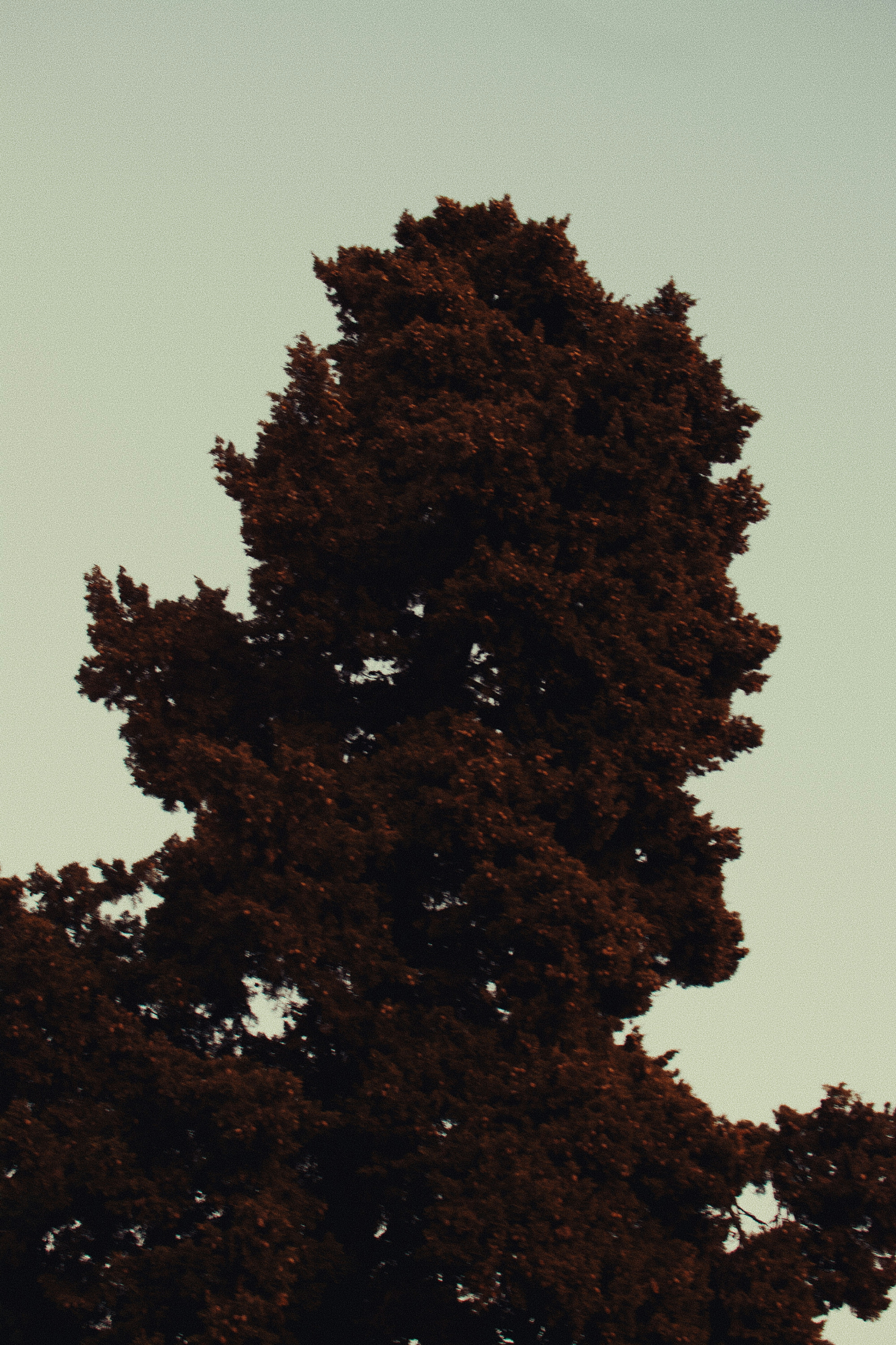 Photo by adamboukhris