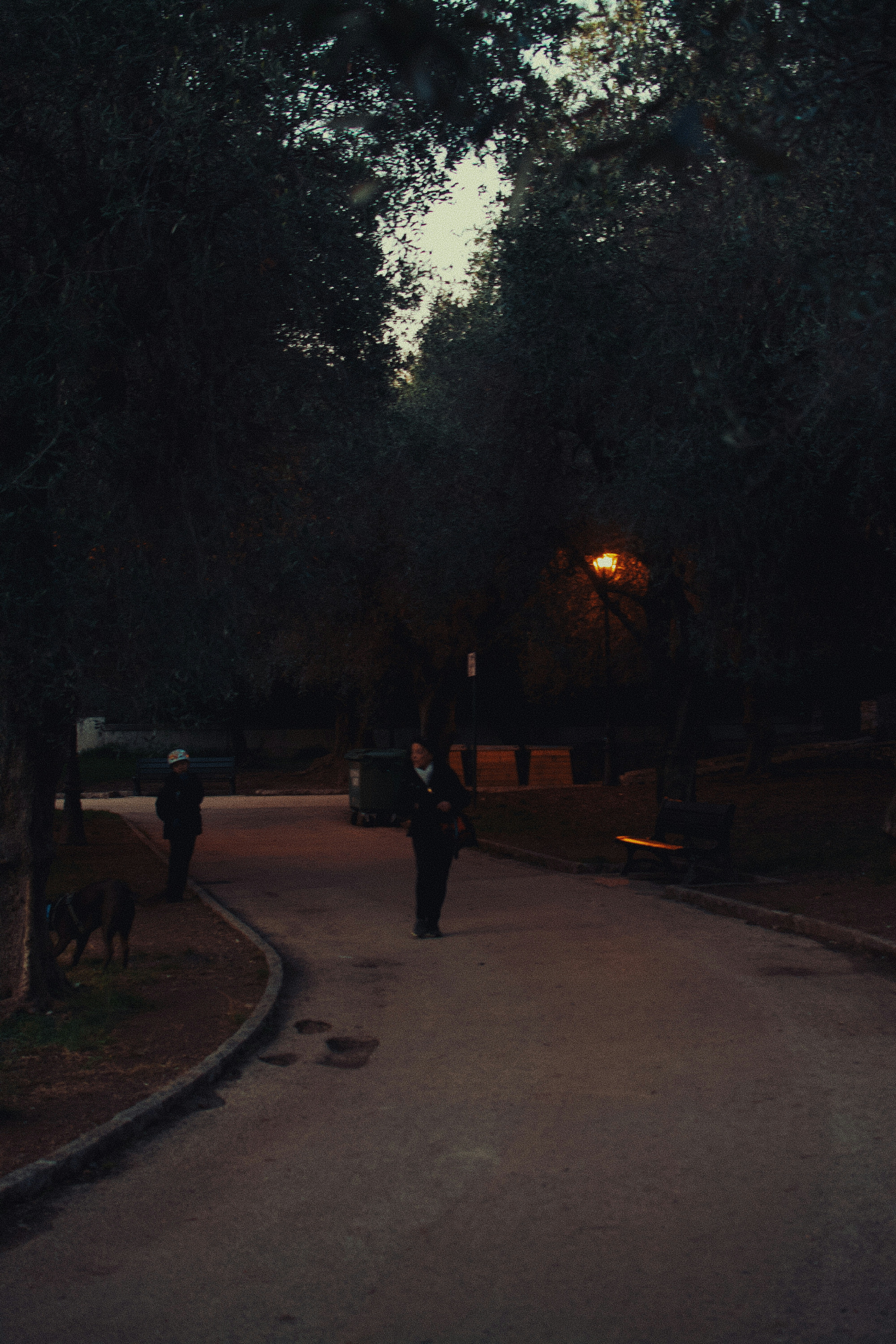 Two figures walking on a path at dusk