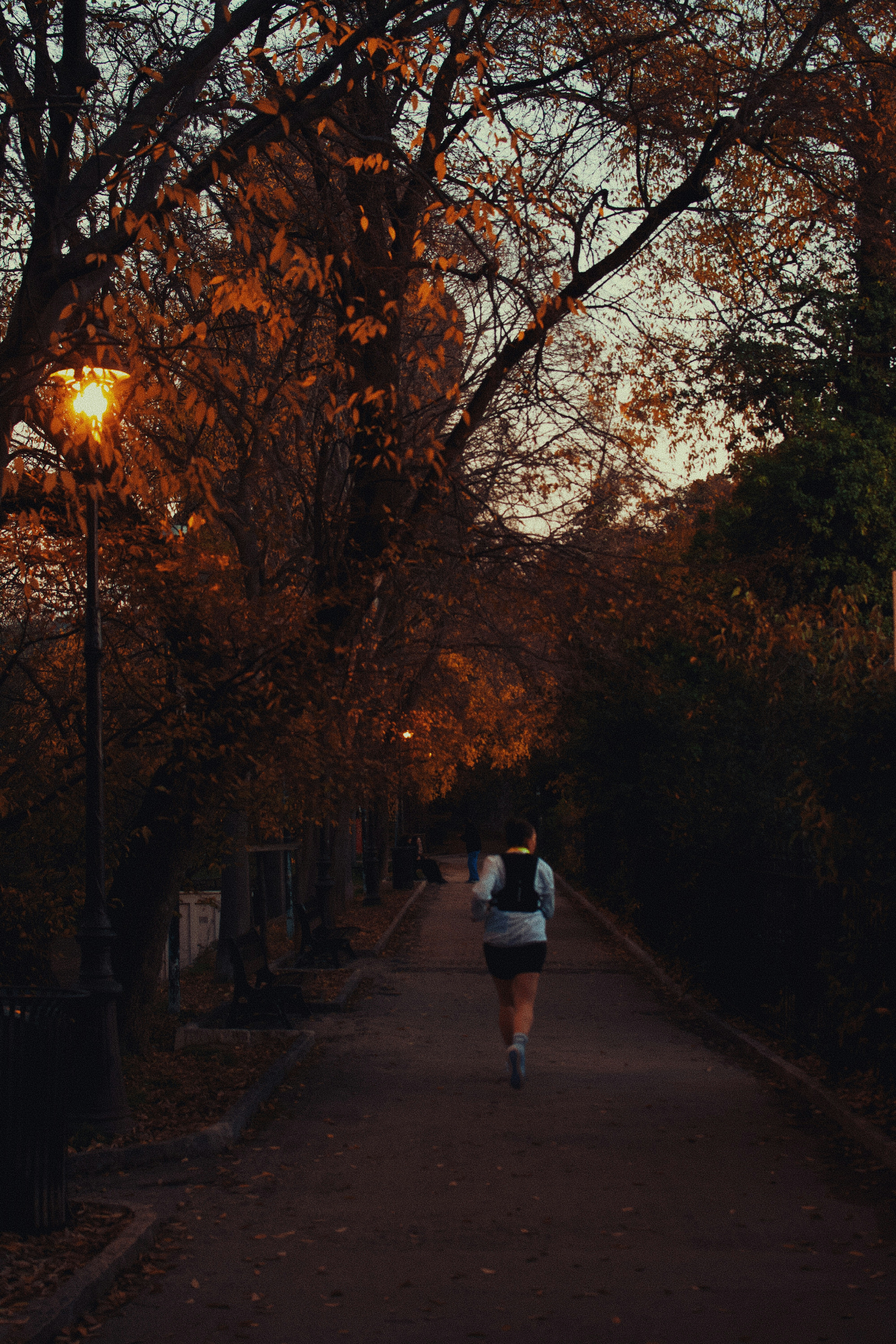 Photo by adamboukhris