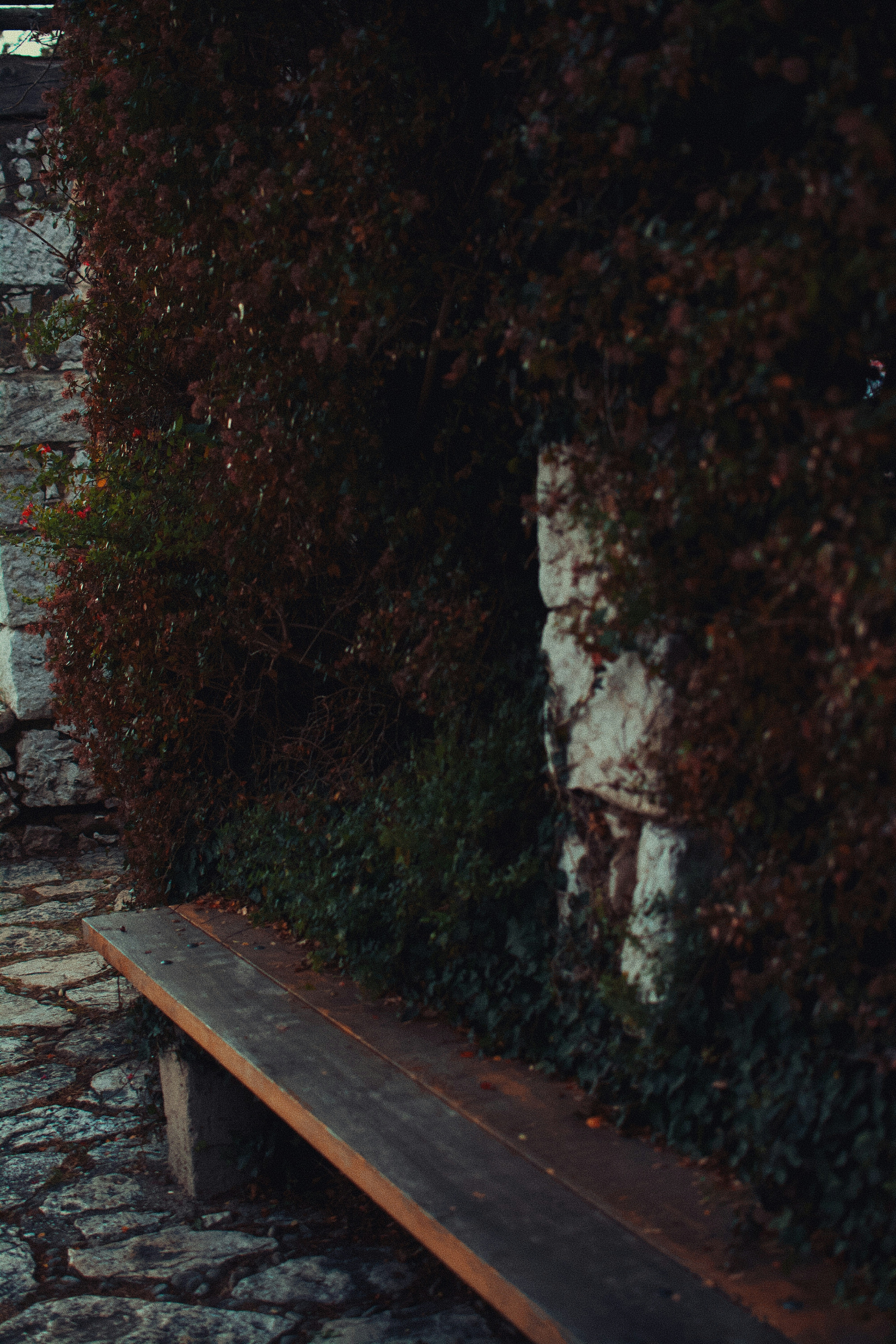 Photo by adamboukhris