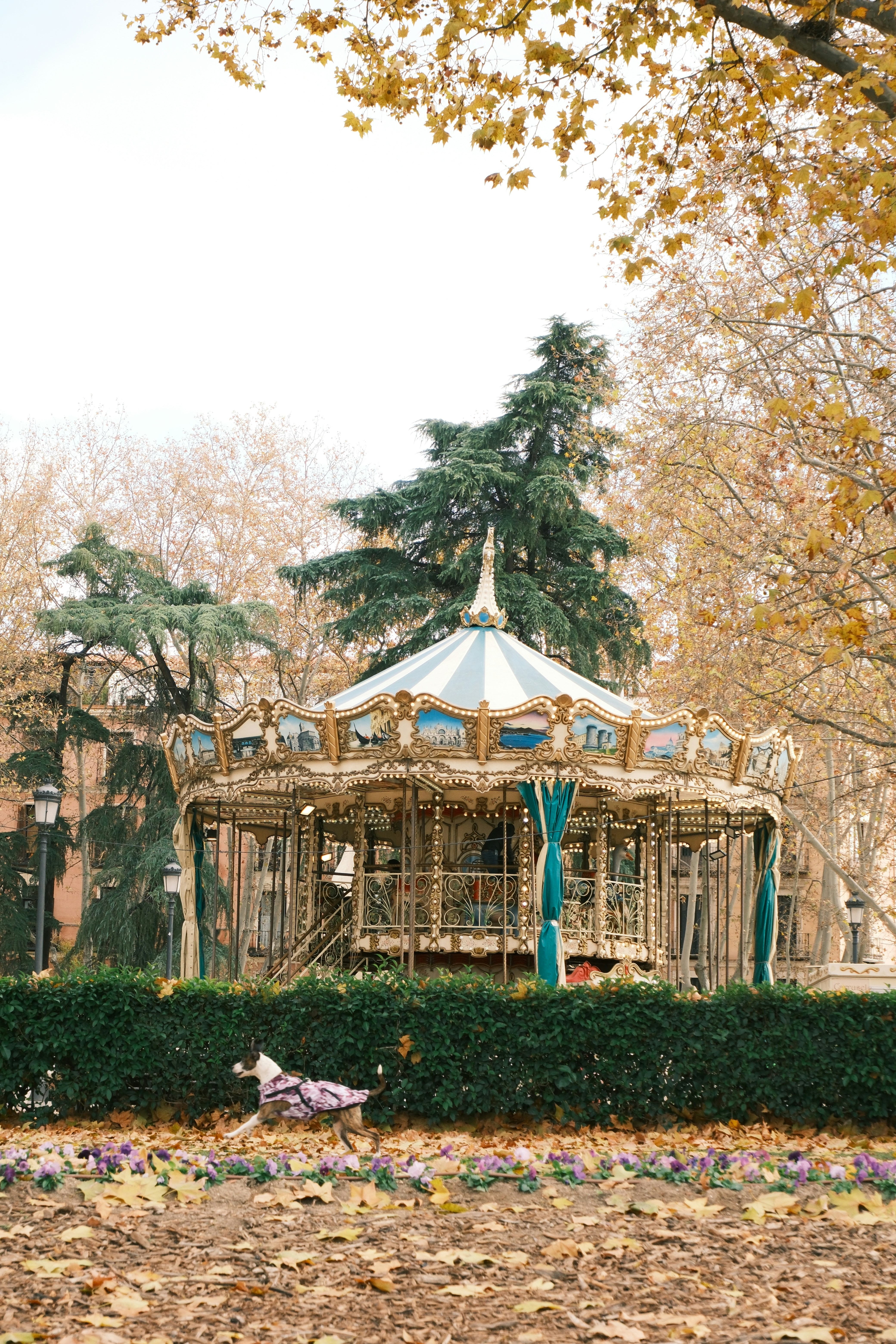 An ornate carousel in a park with autumn leaves.