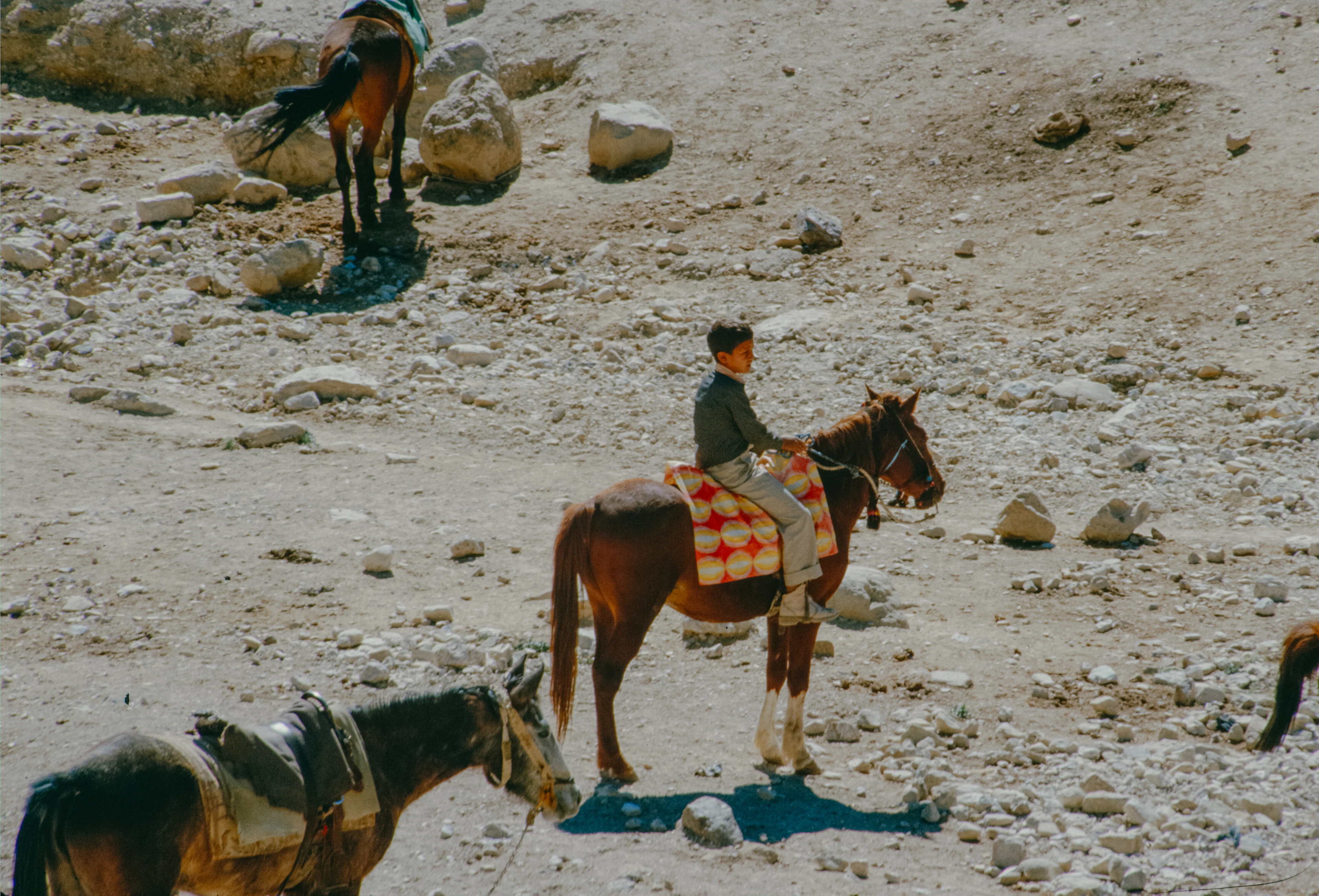 Chico montando a caballo por un sendero de piedras