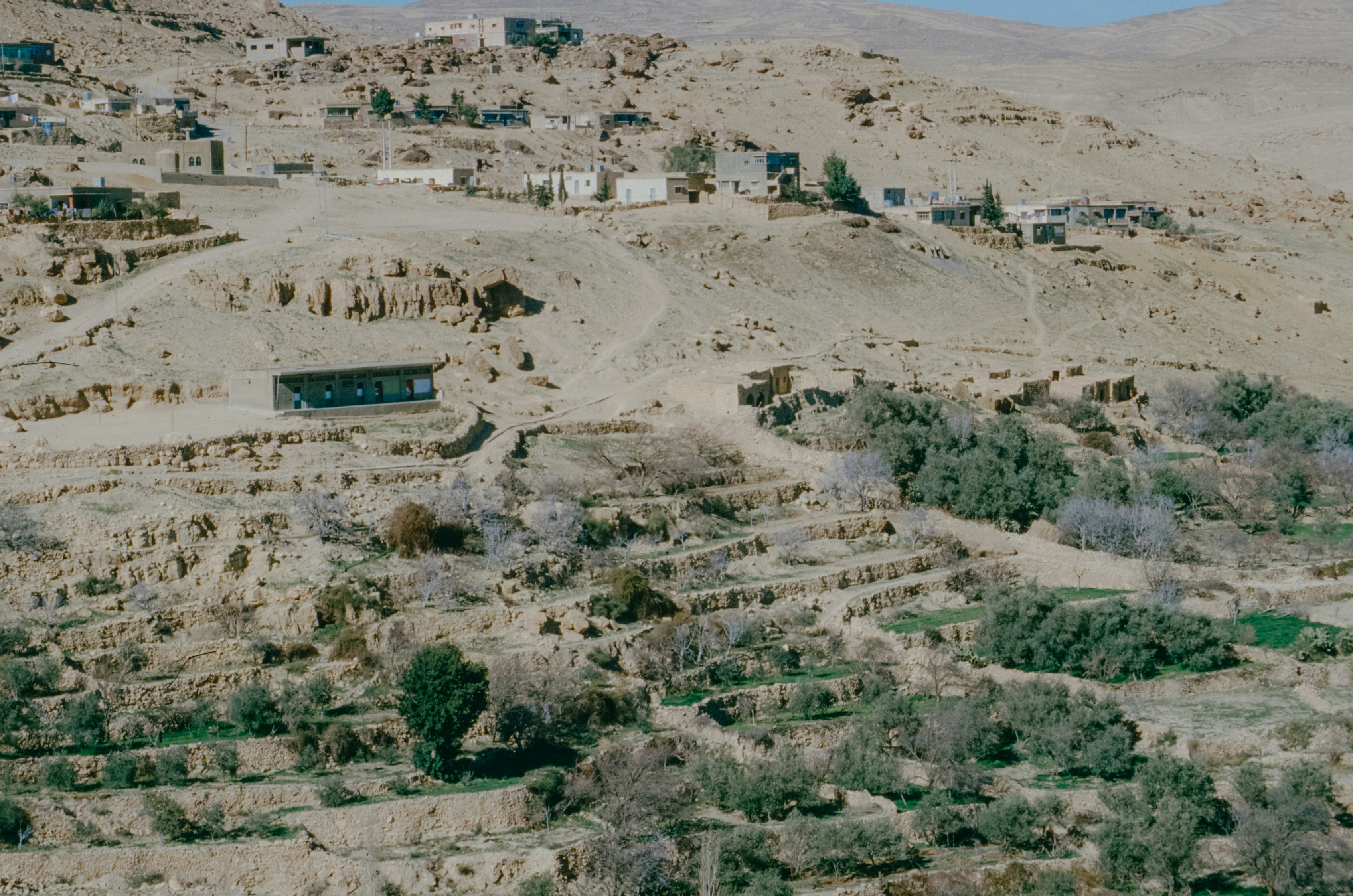 Photo by anniespratt