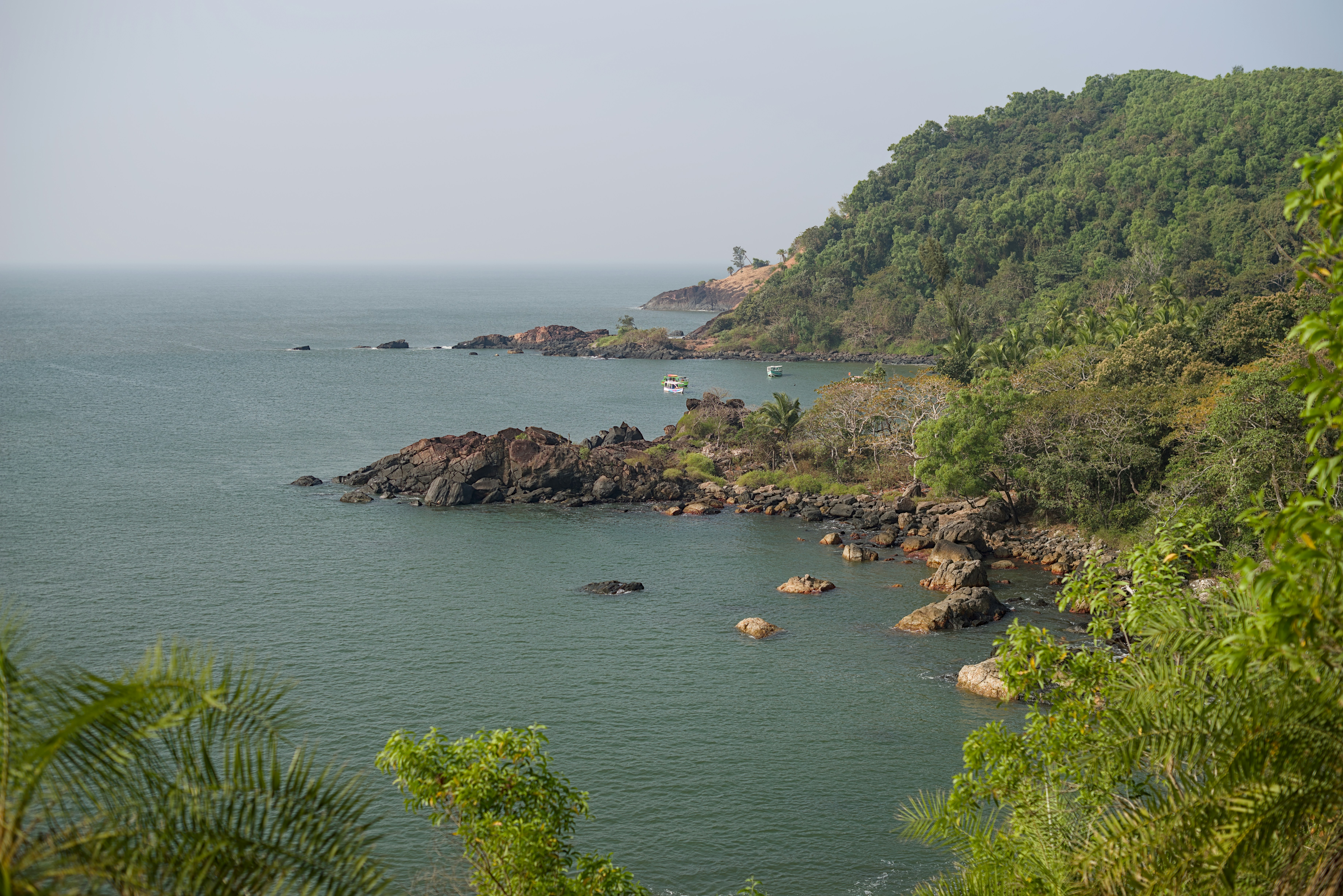 Photo by satishdharmavarapu