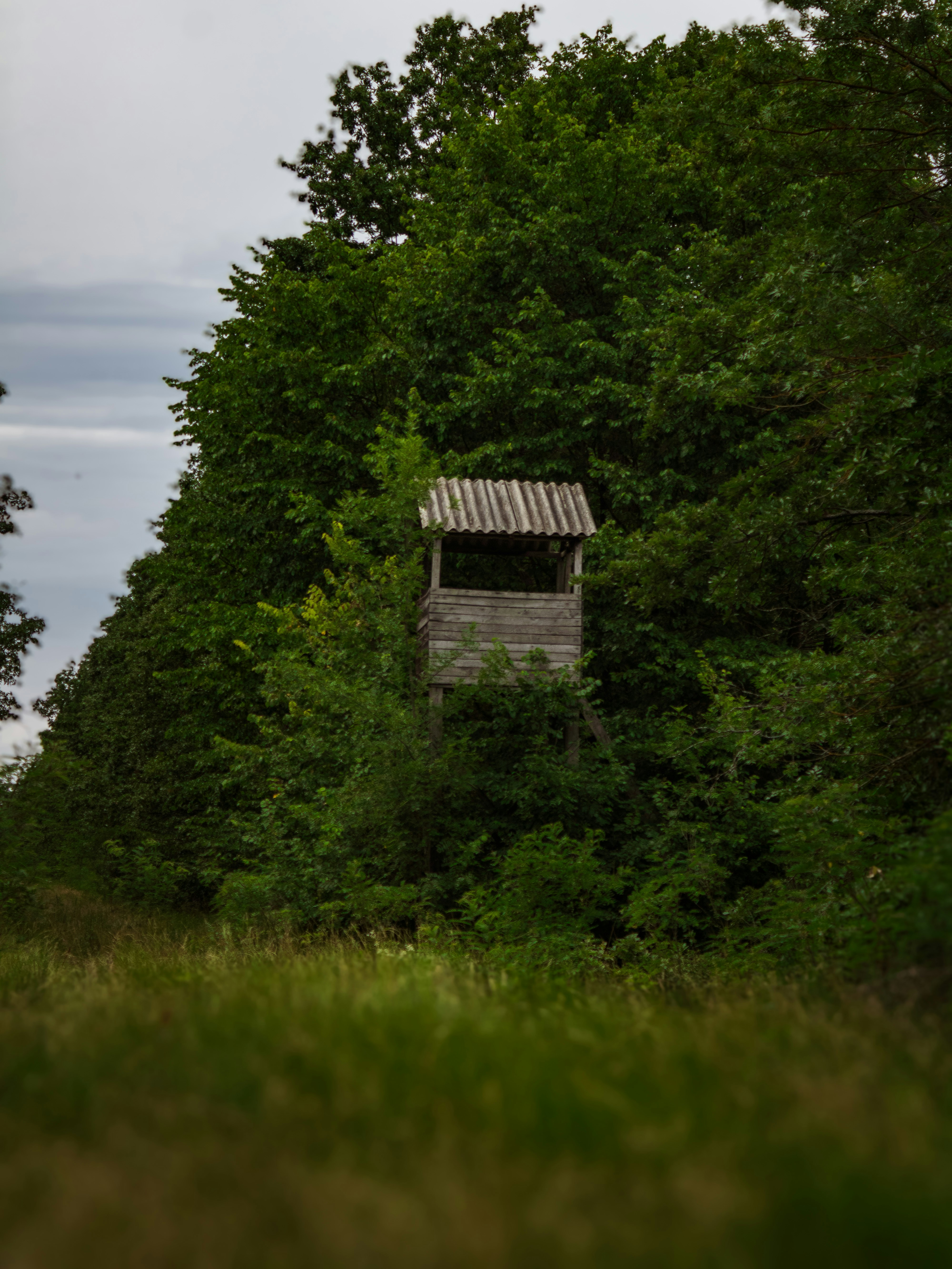 Photo by dariussx000