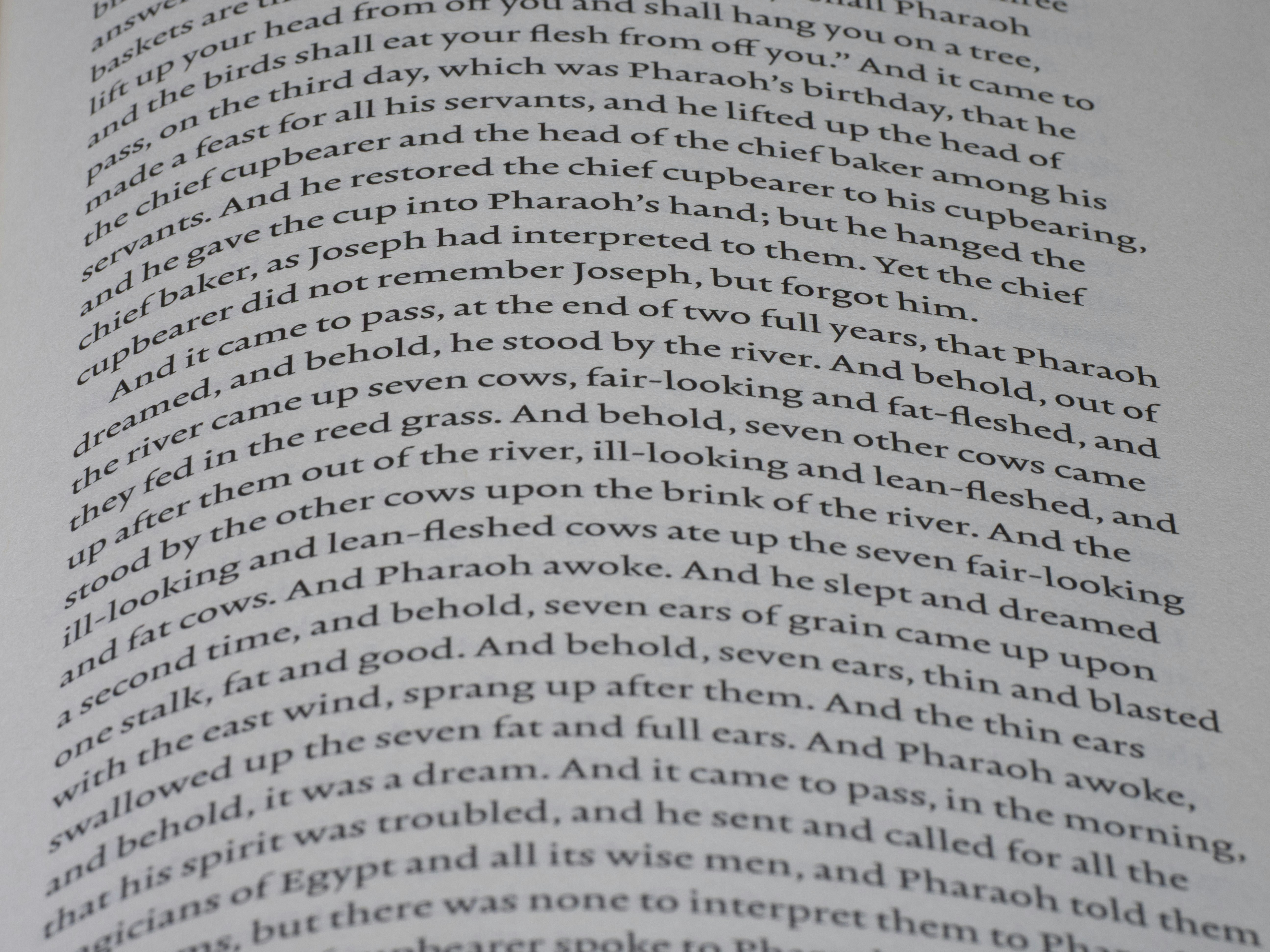 Photo by brett_jordan