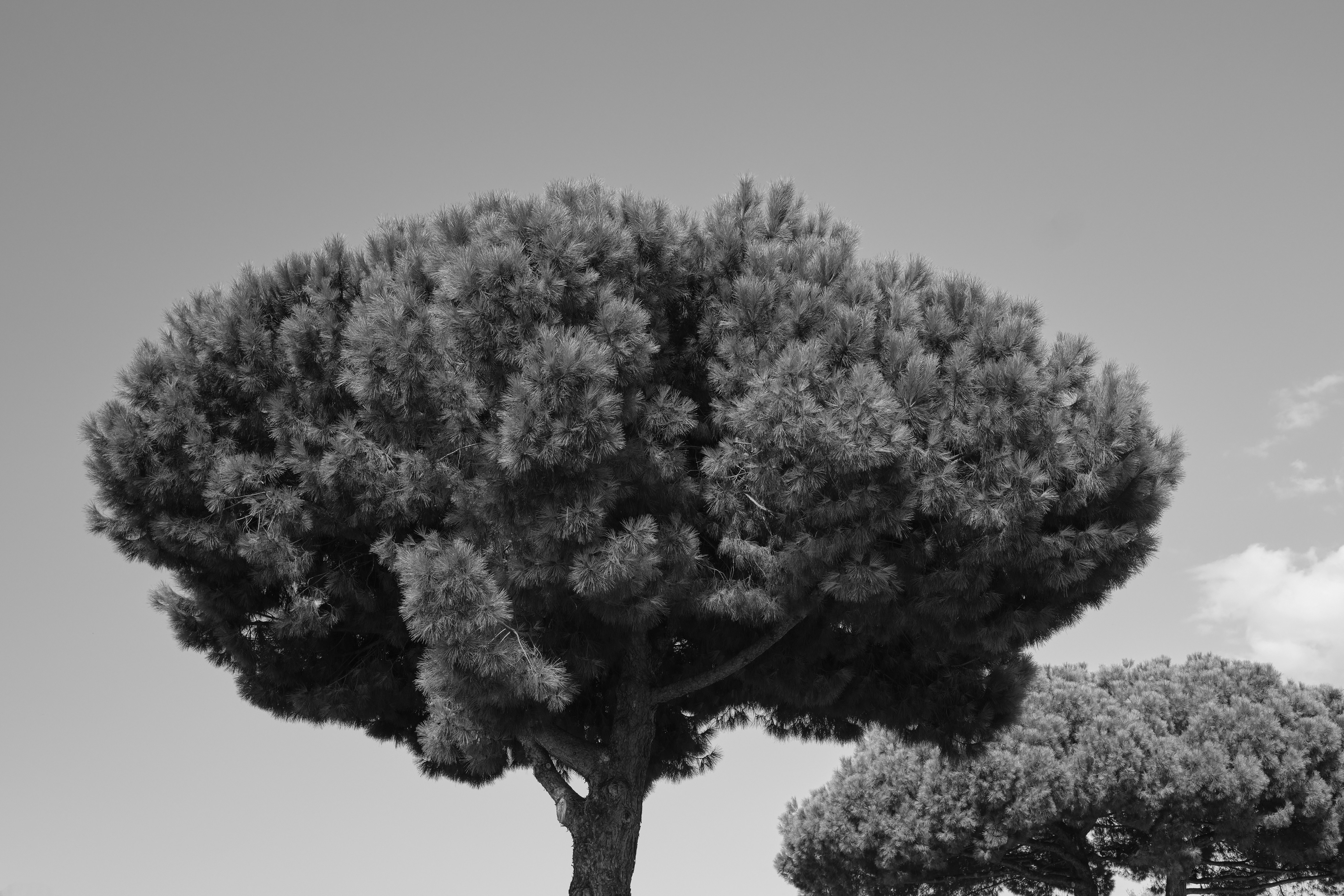 Photo by jenstakesphotos