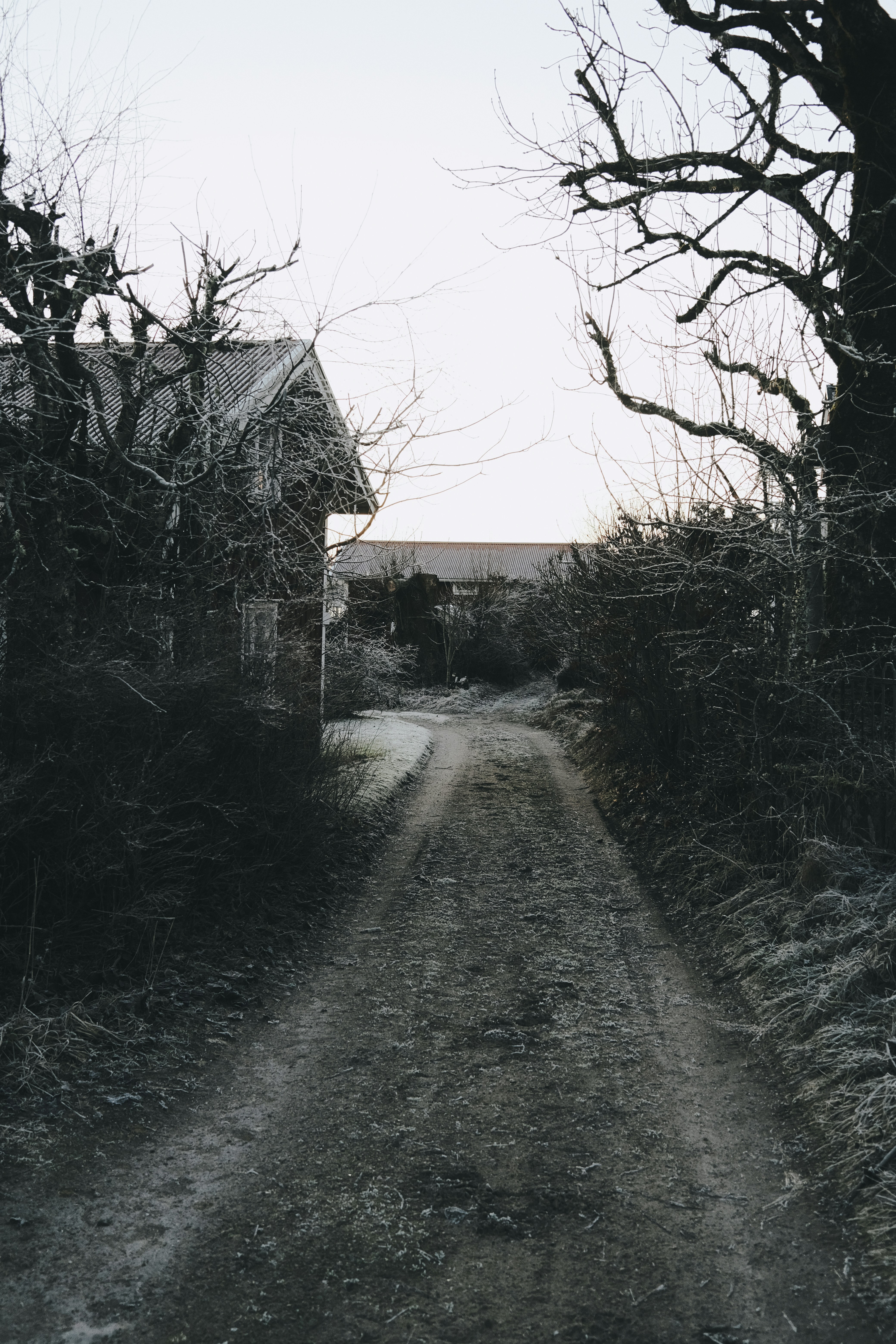 Photo by magnusjonasson