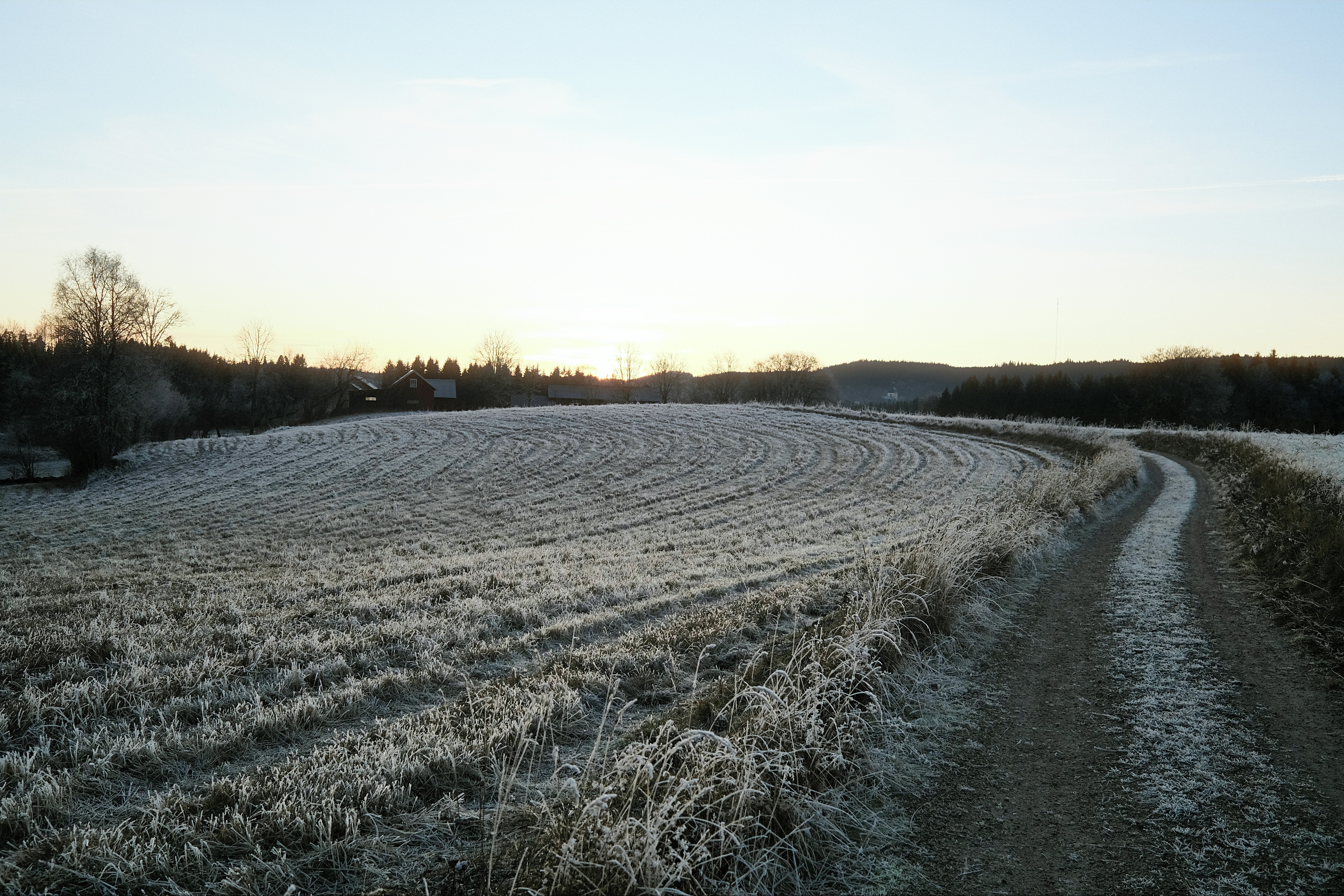 Frosty field with a dirt path at sunrise