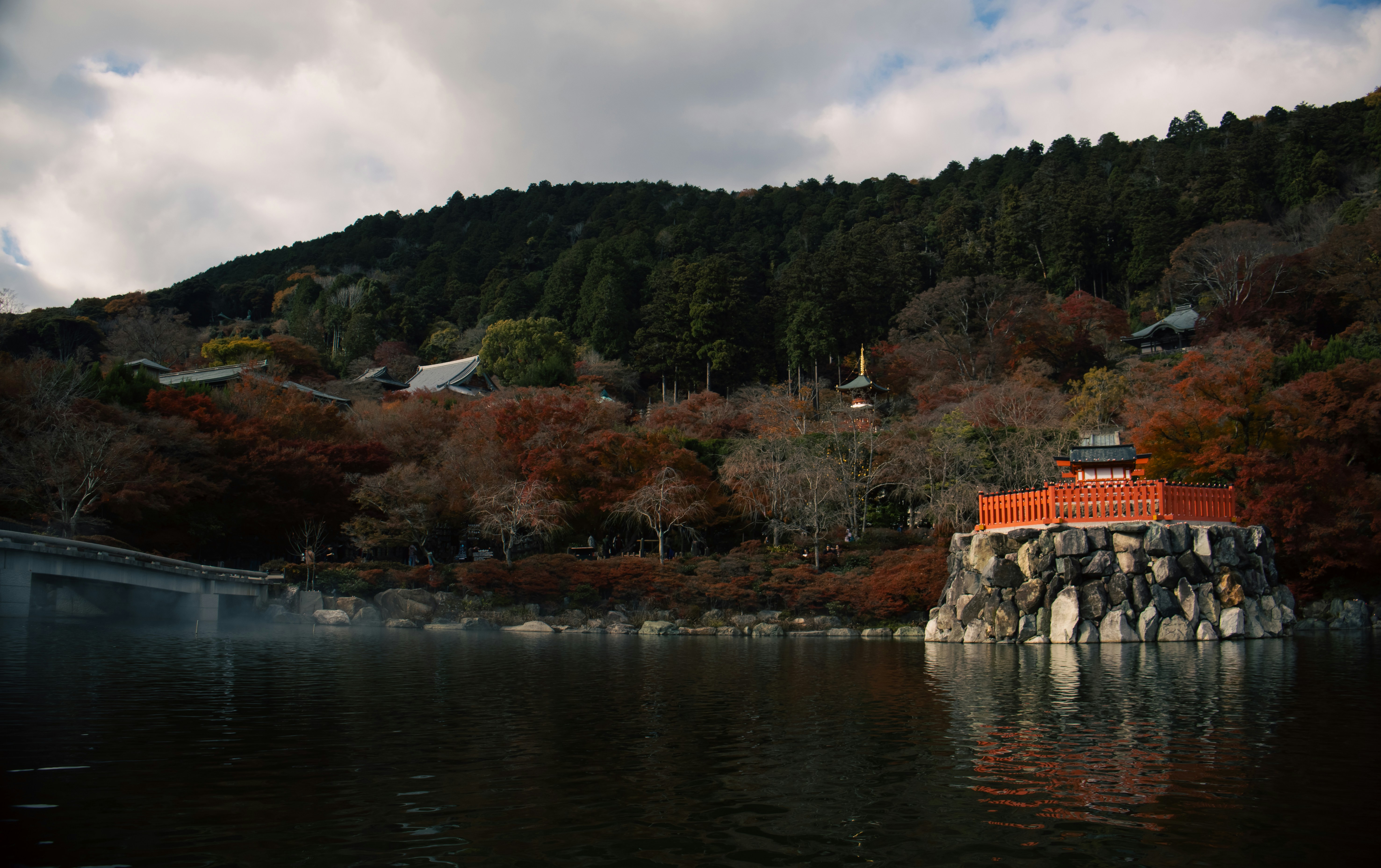 Photo by katekasiutich