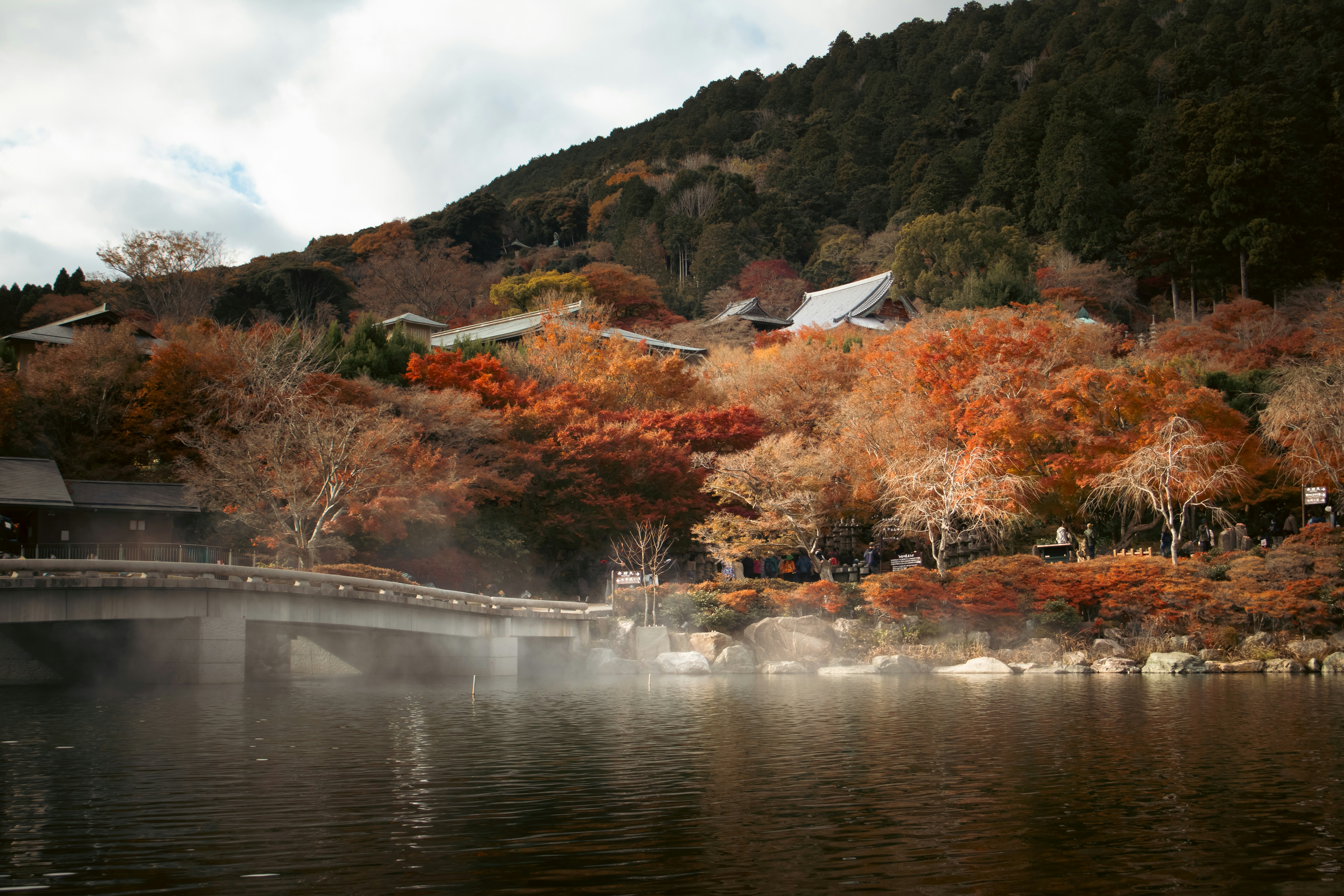 Photo by katekasiutich