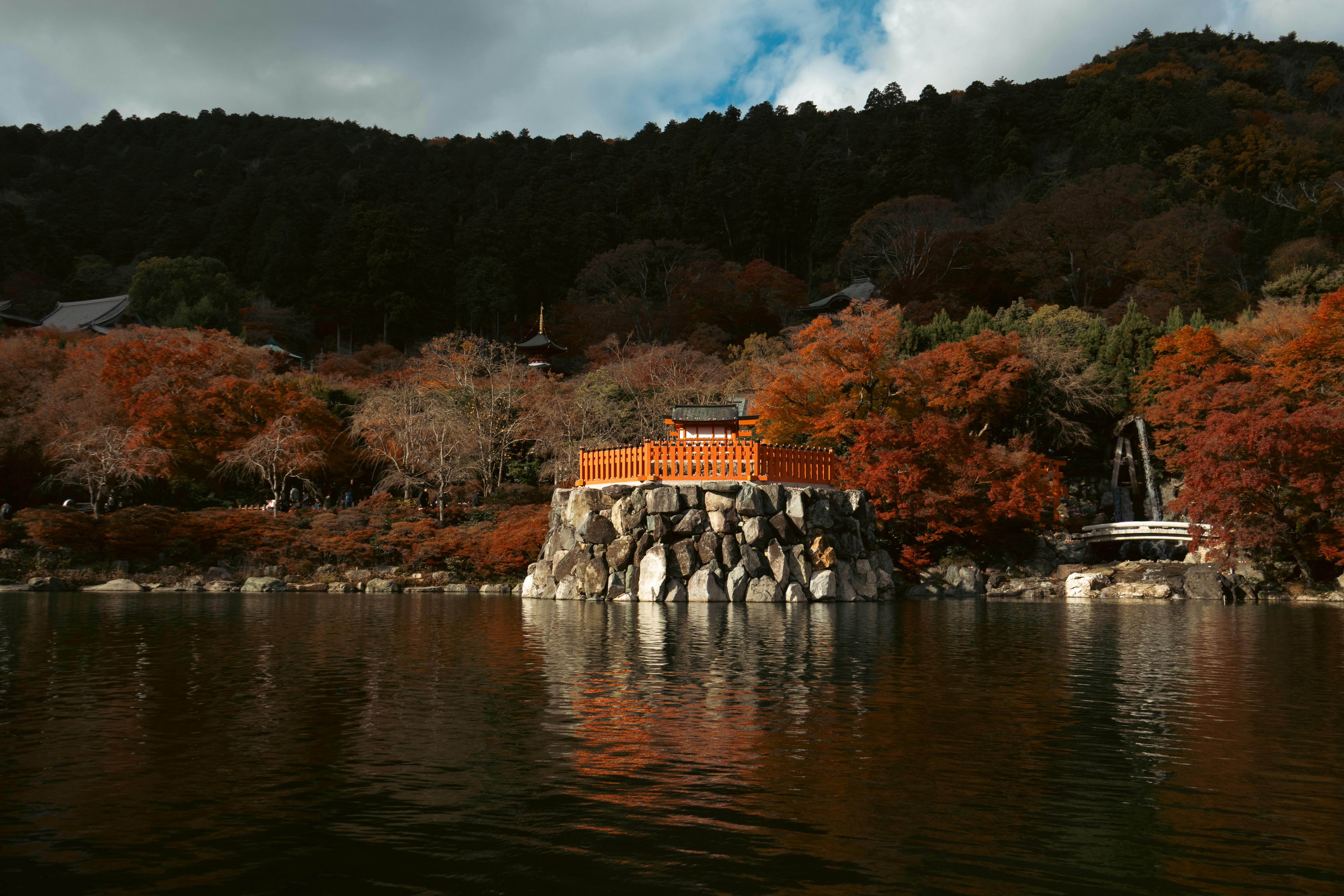 Photo by katekasiutich