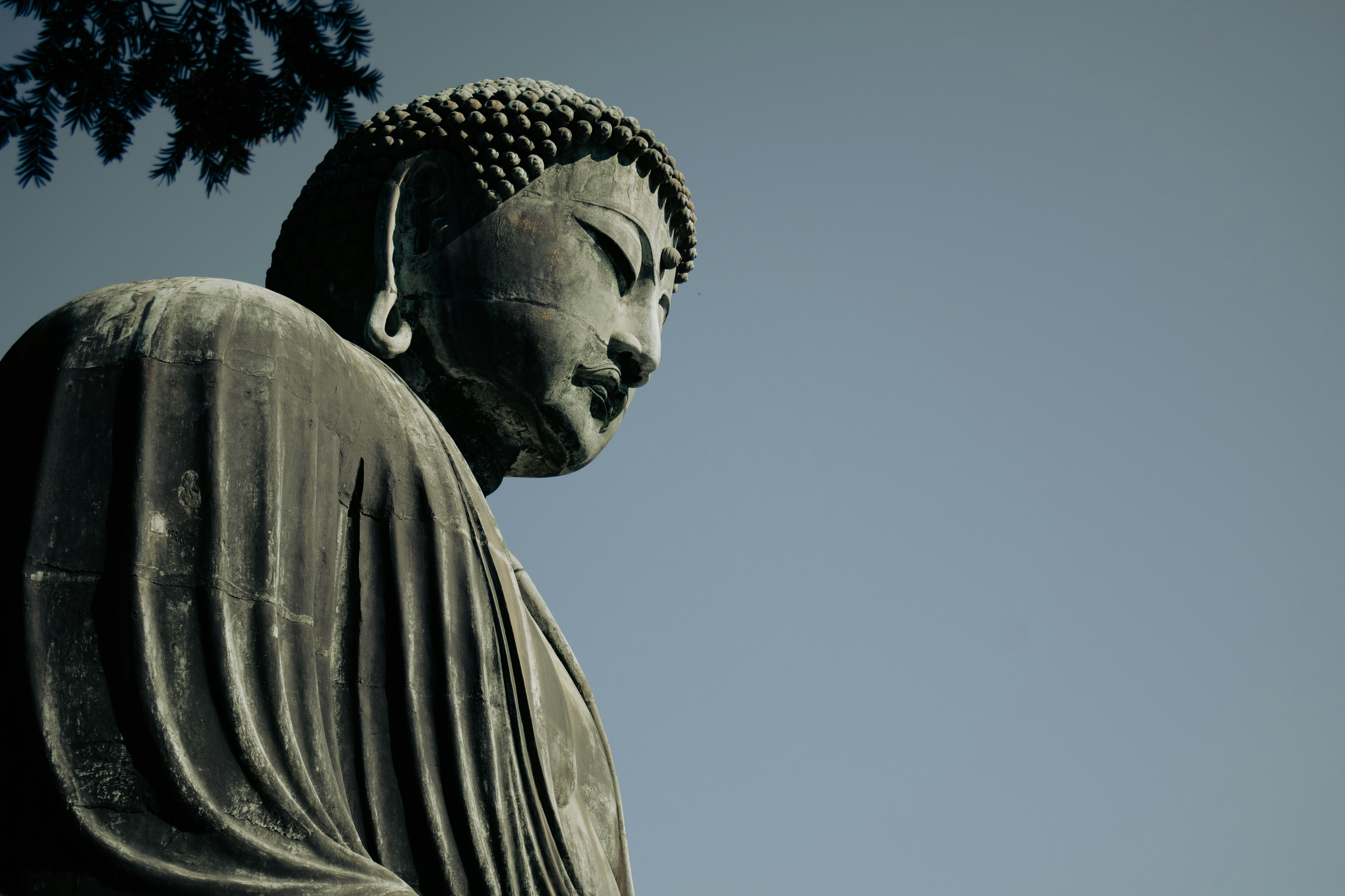 Photo by katekasiutich