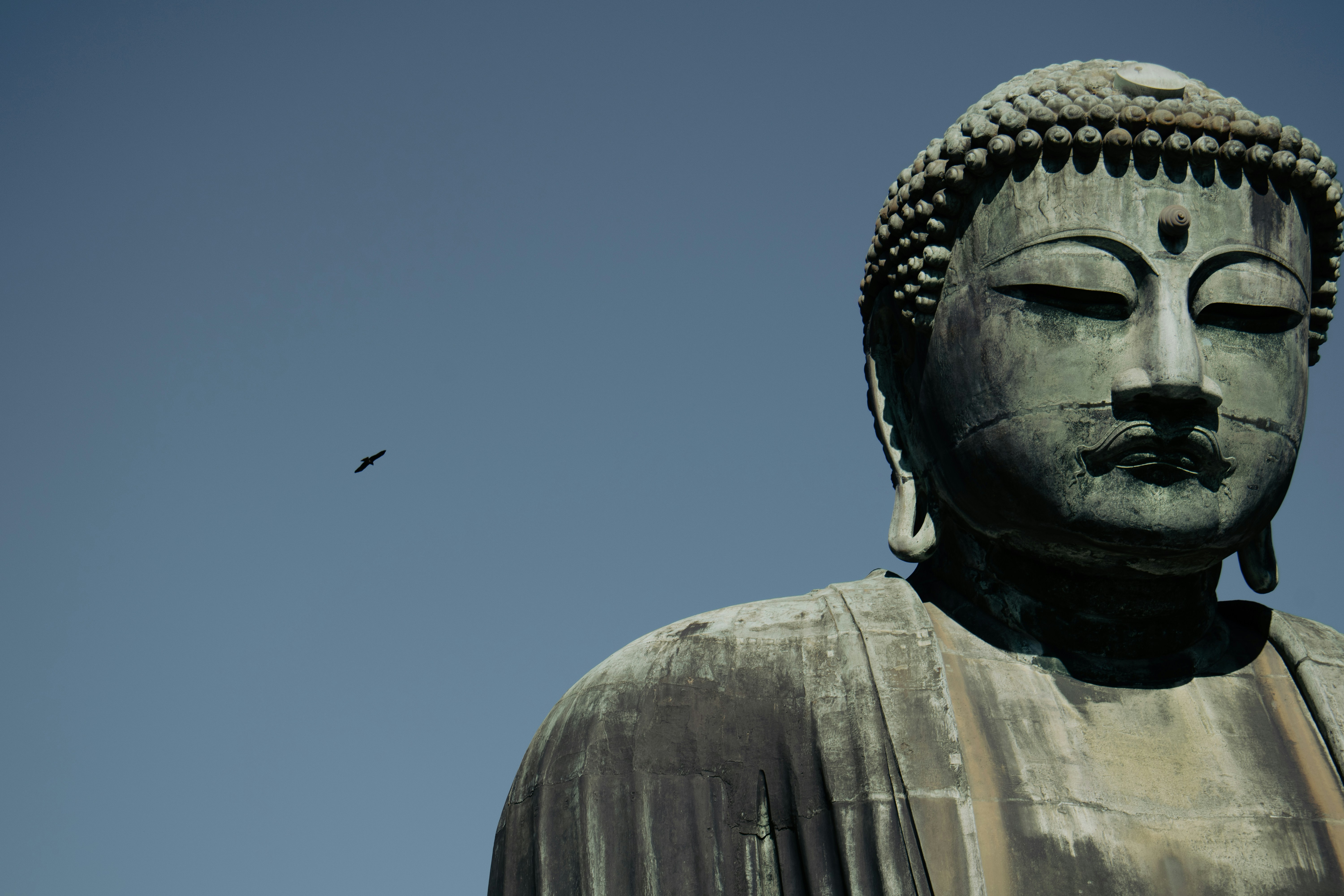 Photo by katekasiutich