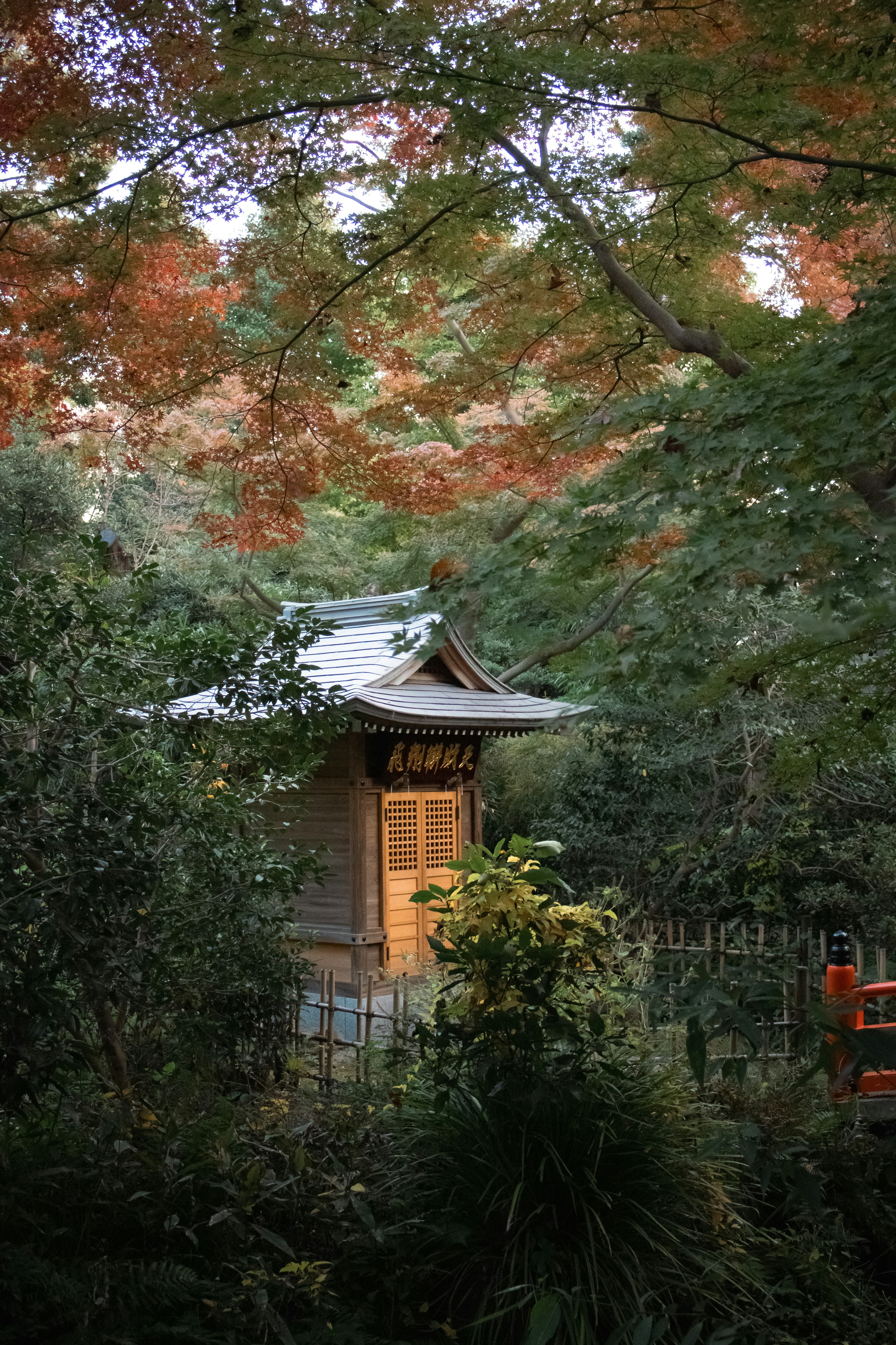 Forest sauna nestled in Japanese woods