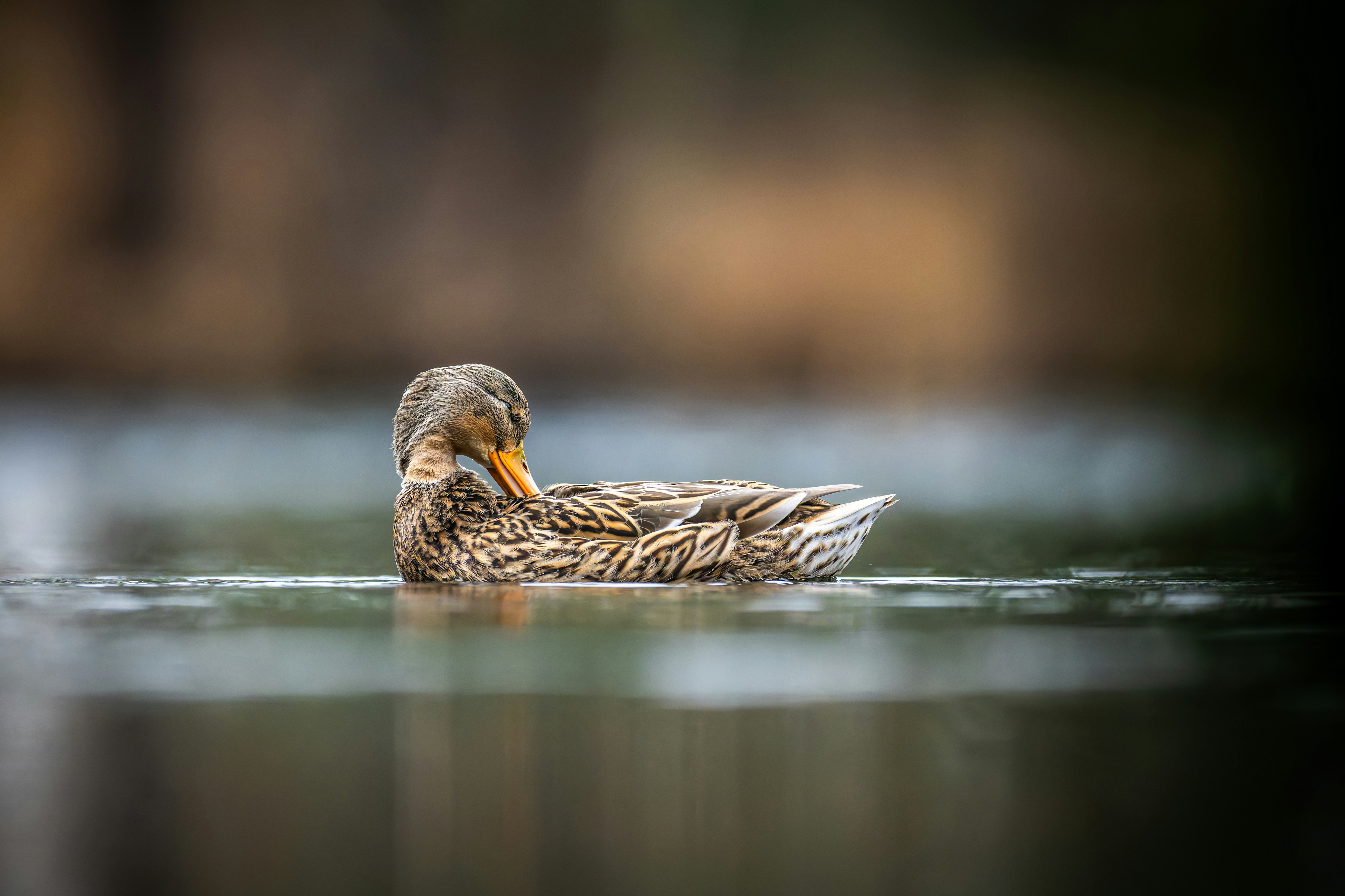 Family Oriented Resources: A Guide for Families Searching for Church Connection