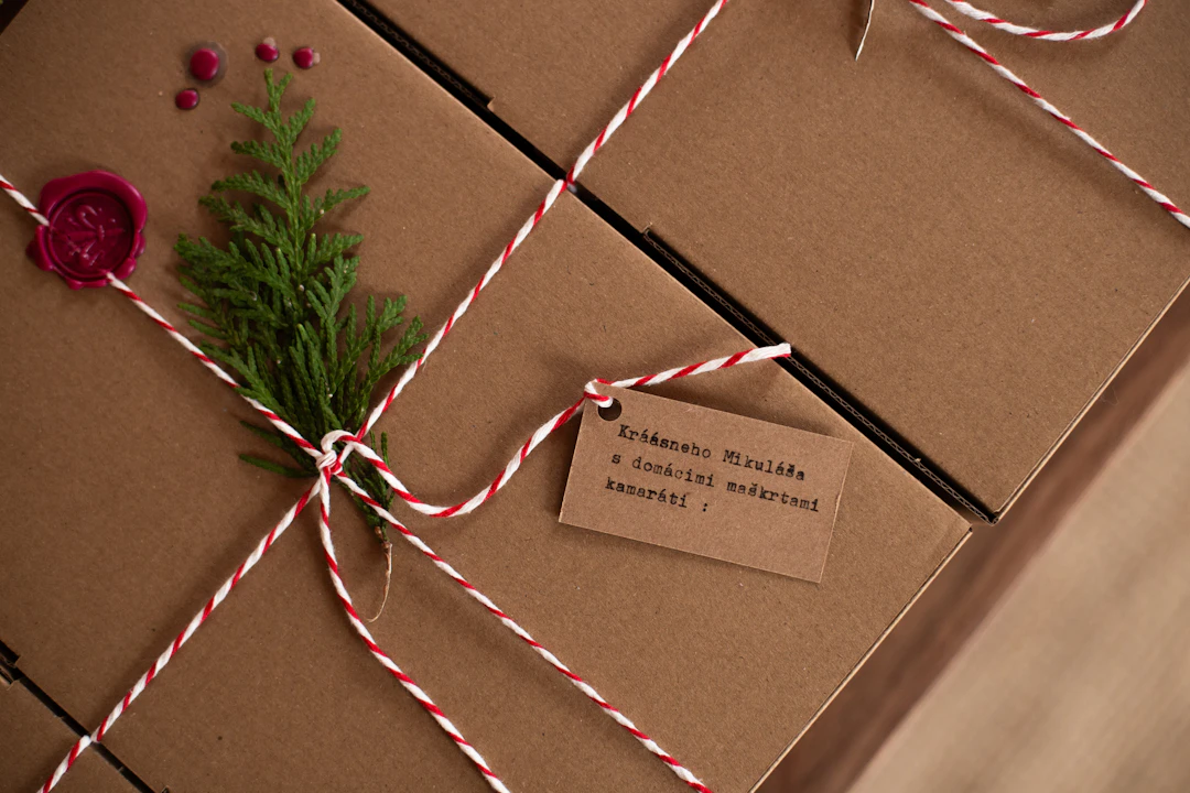 Kraft paper boxes tied with red and white twine, a handwritten tag and a sprig of green on top