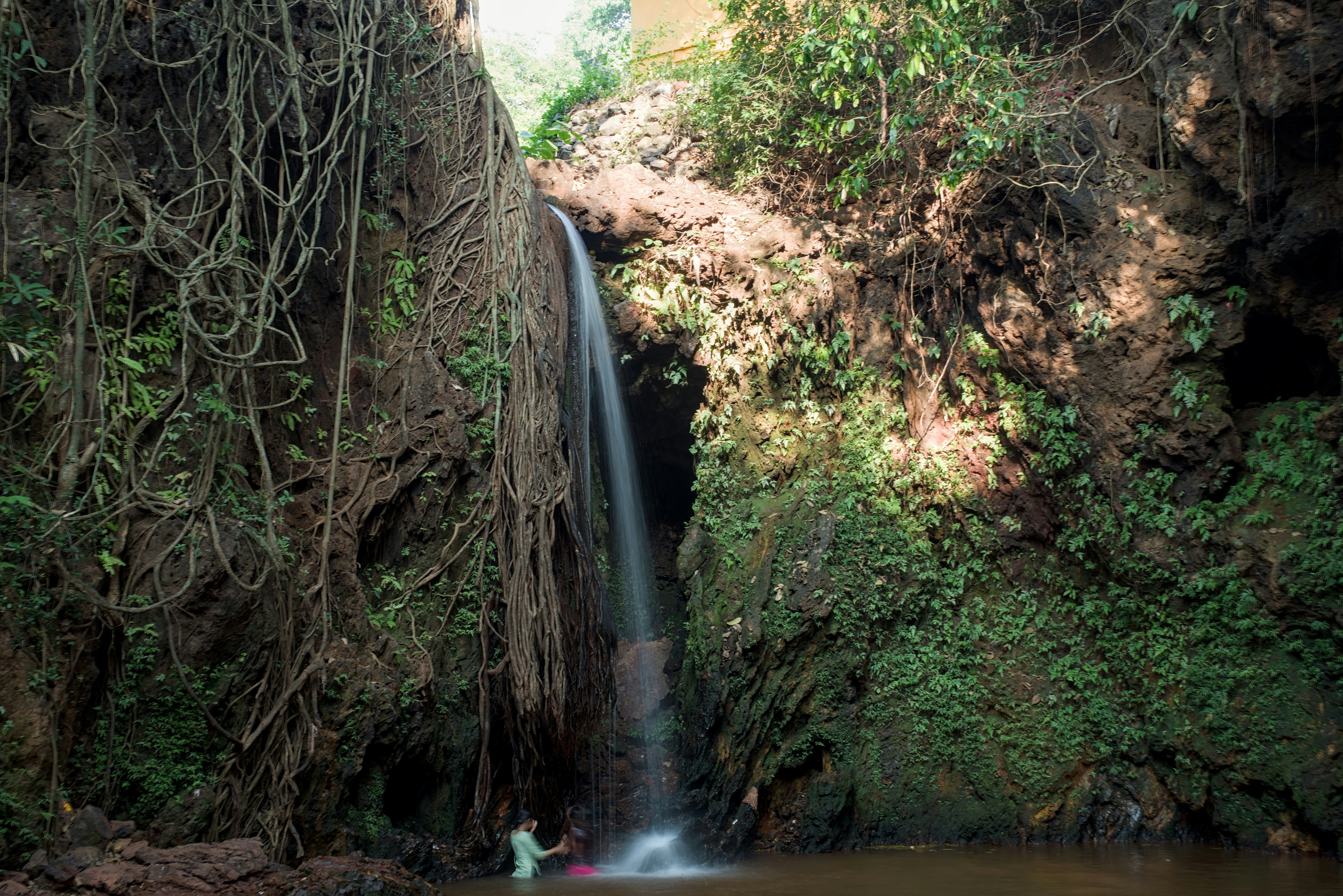 Photo by satishdharmavarapu