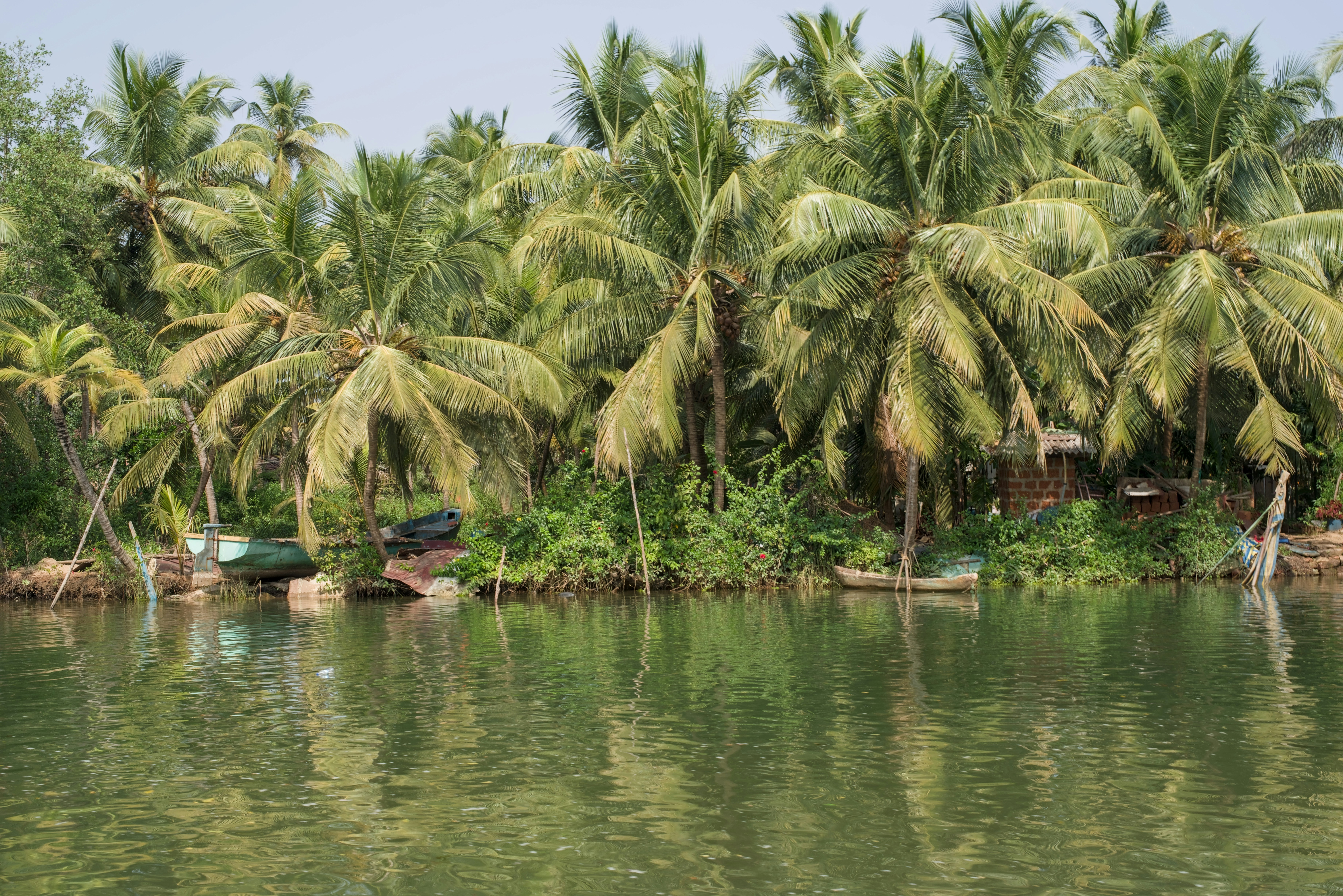 Photo by satishdharmavarapu