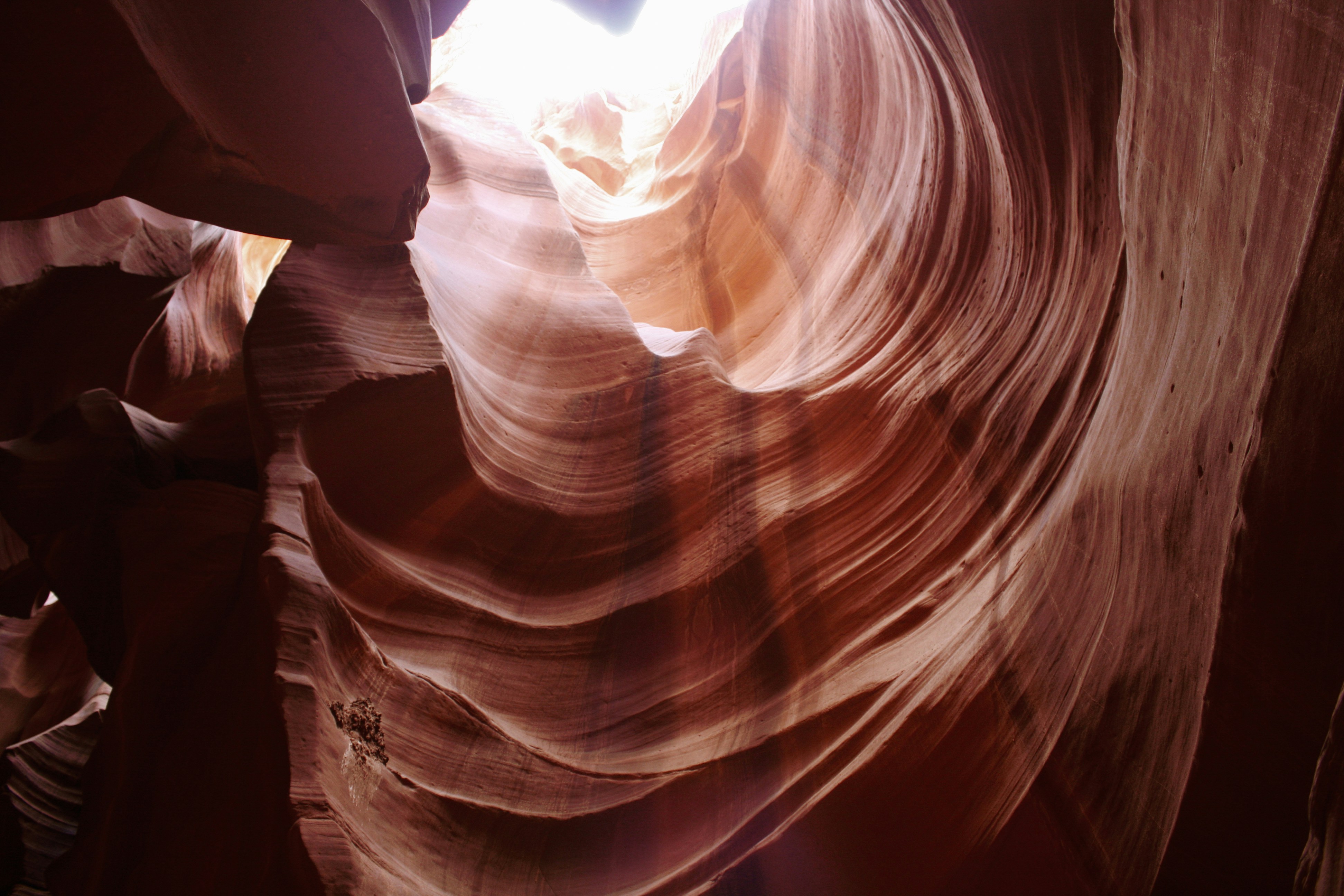 Photo by abhinavgorantla