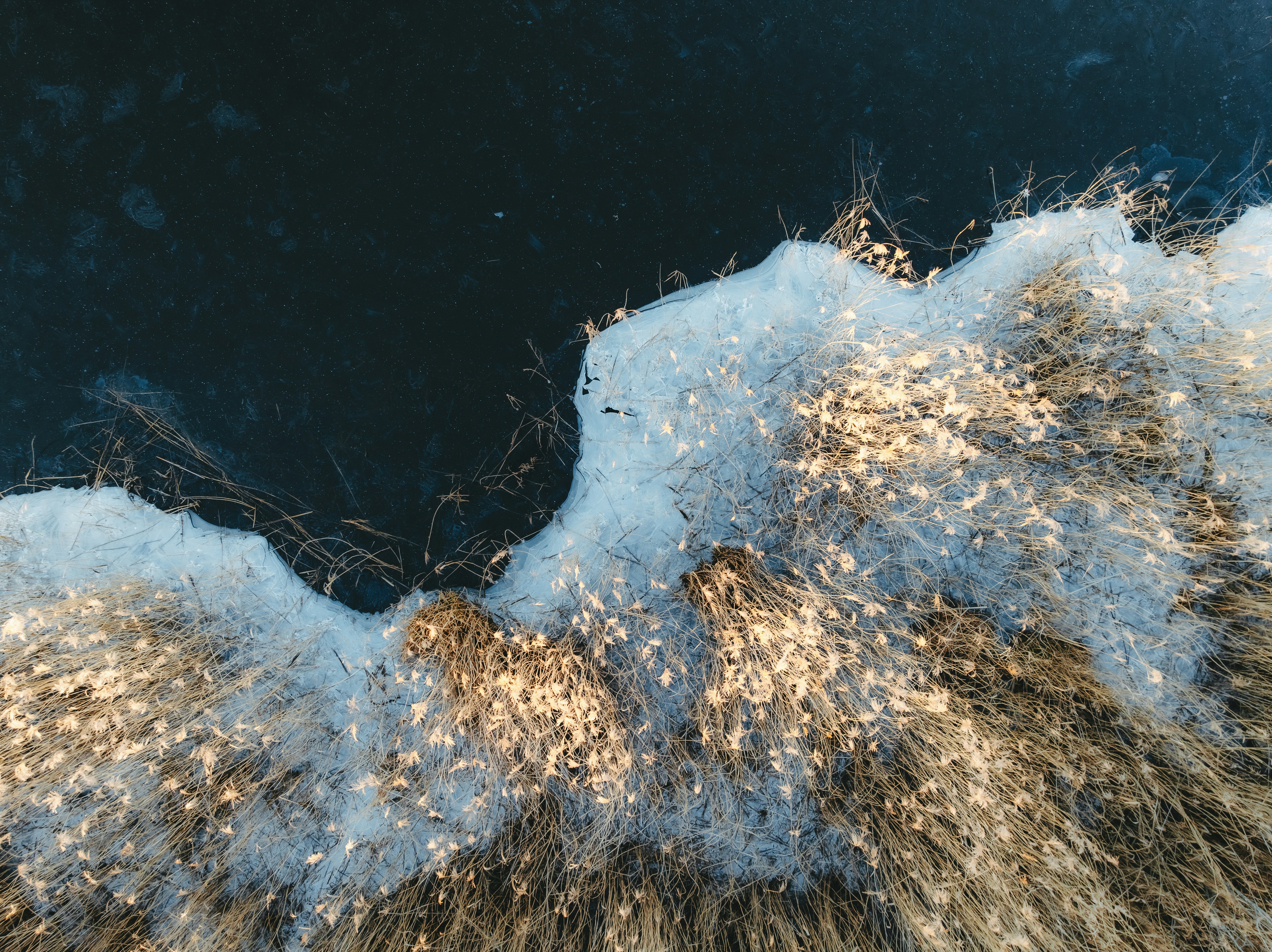 Photo by kristapsungurs