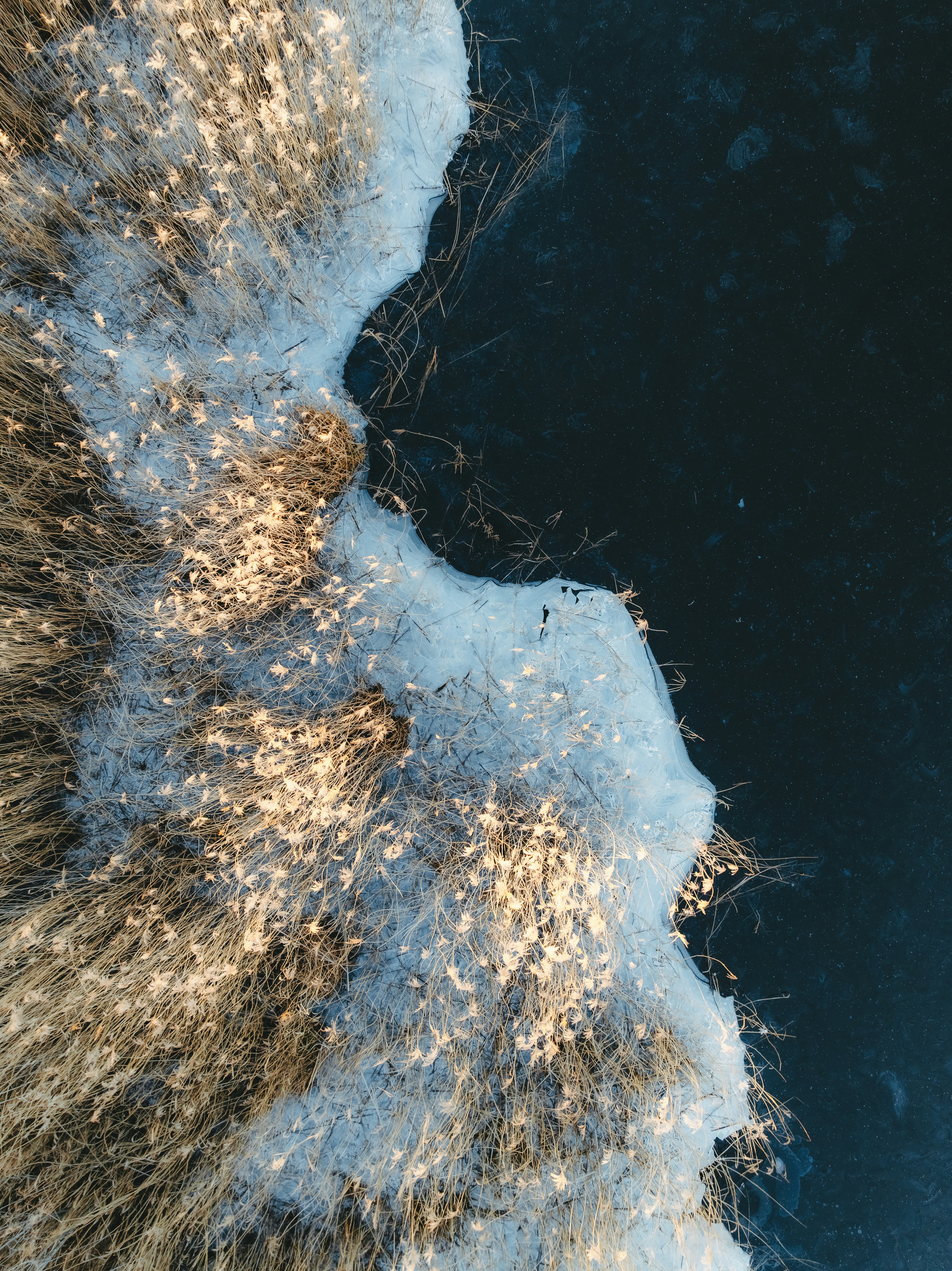 Photo by kristapsungurs