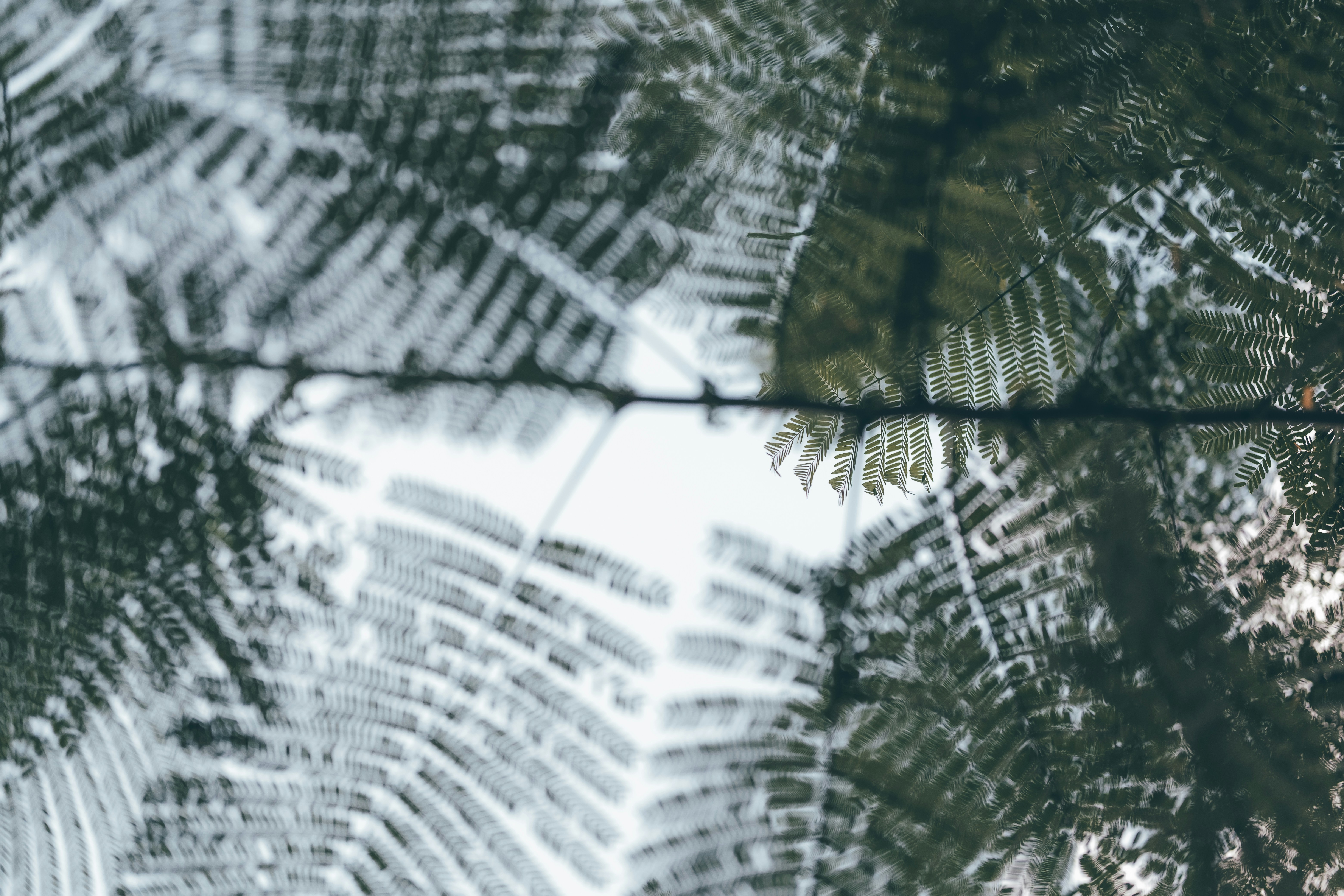 Photo by lazyeyedone