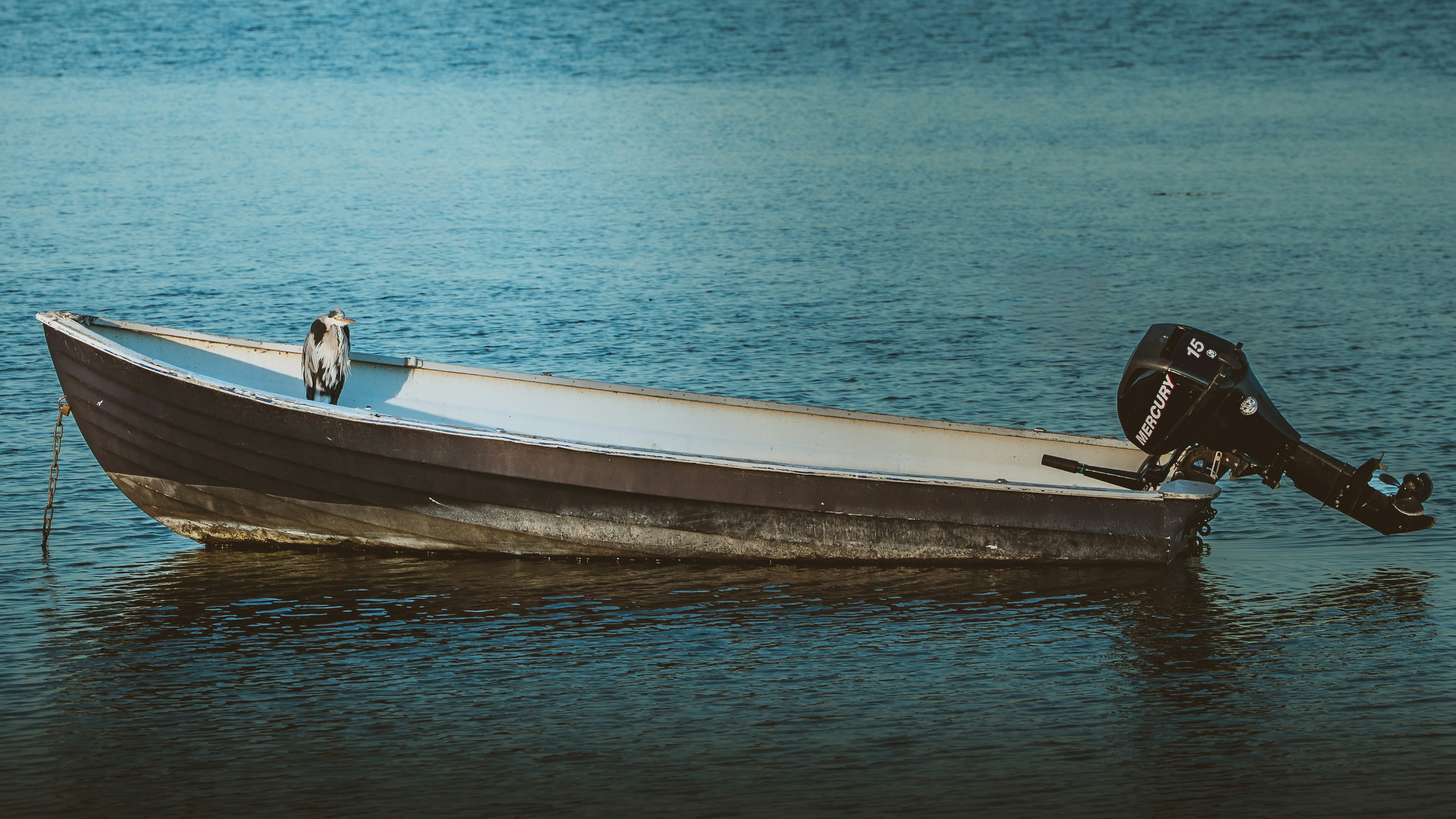 A small motorboat floats on calm blue water.