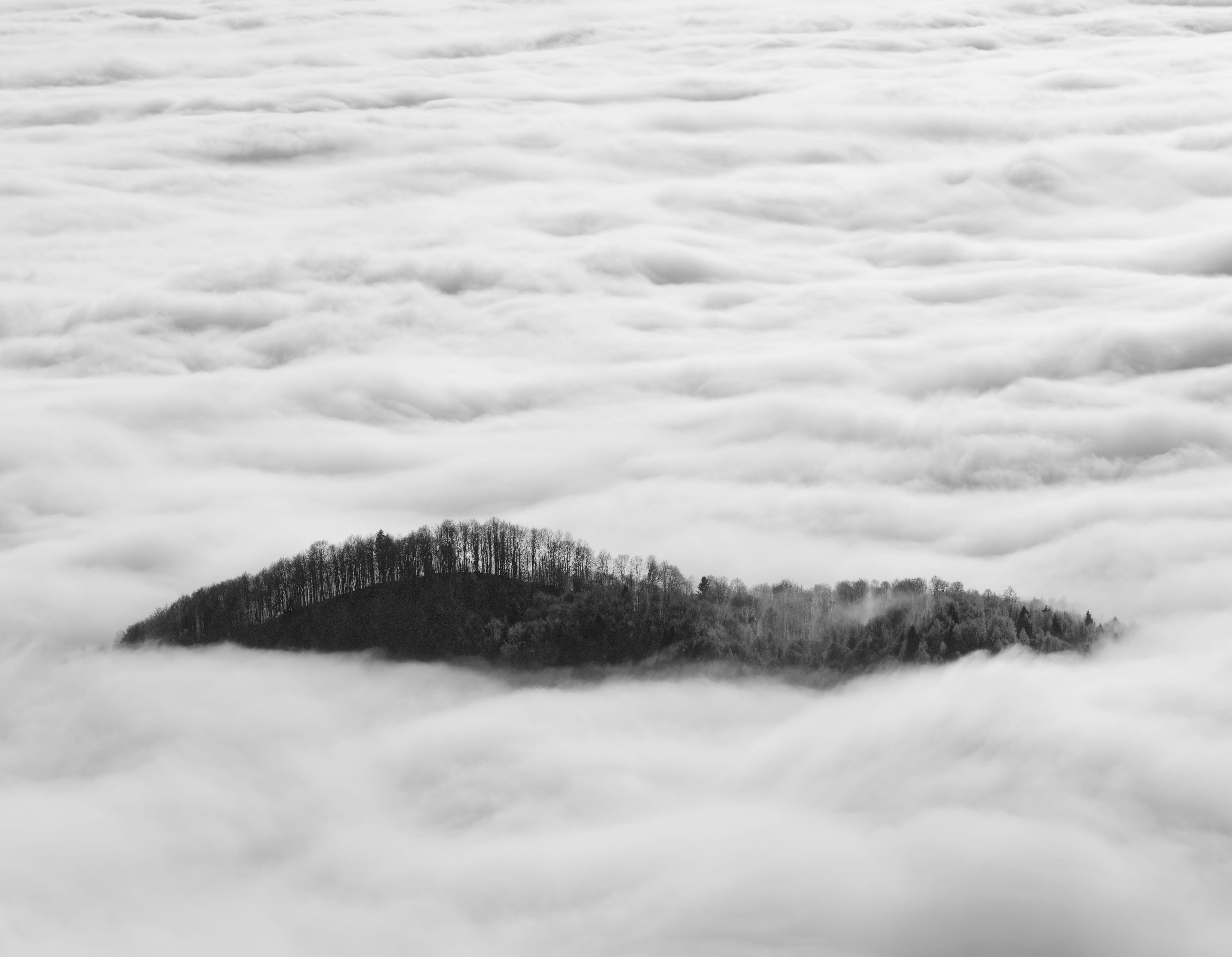 Photo by illes_cristi