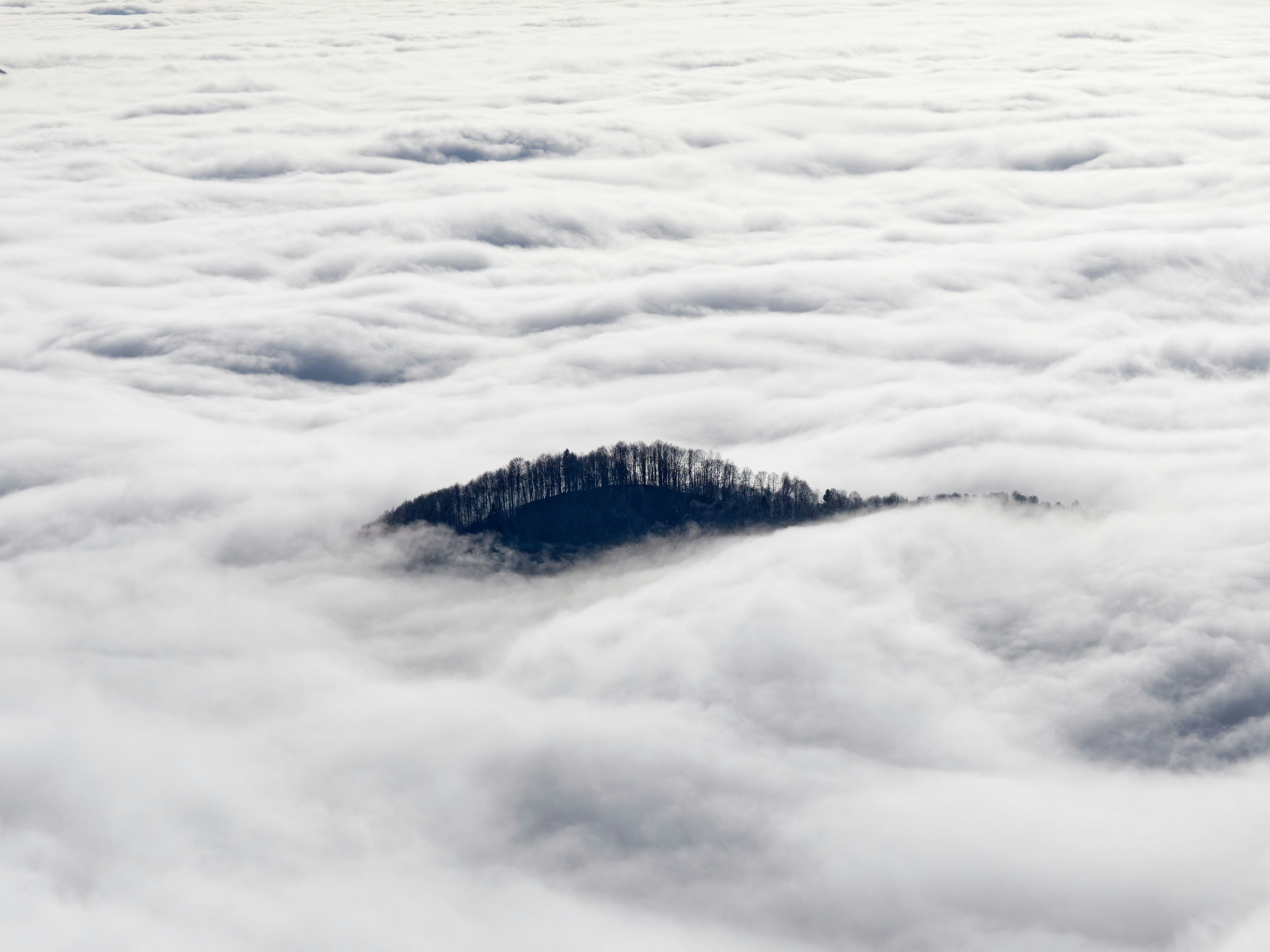 Photo by illes_cristi