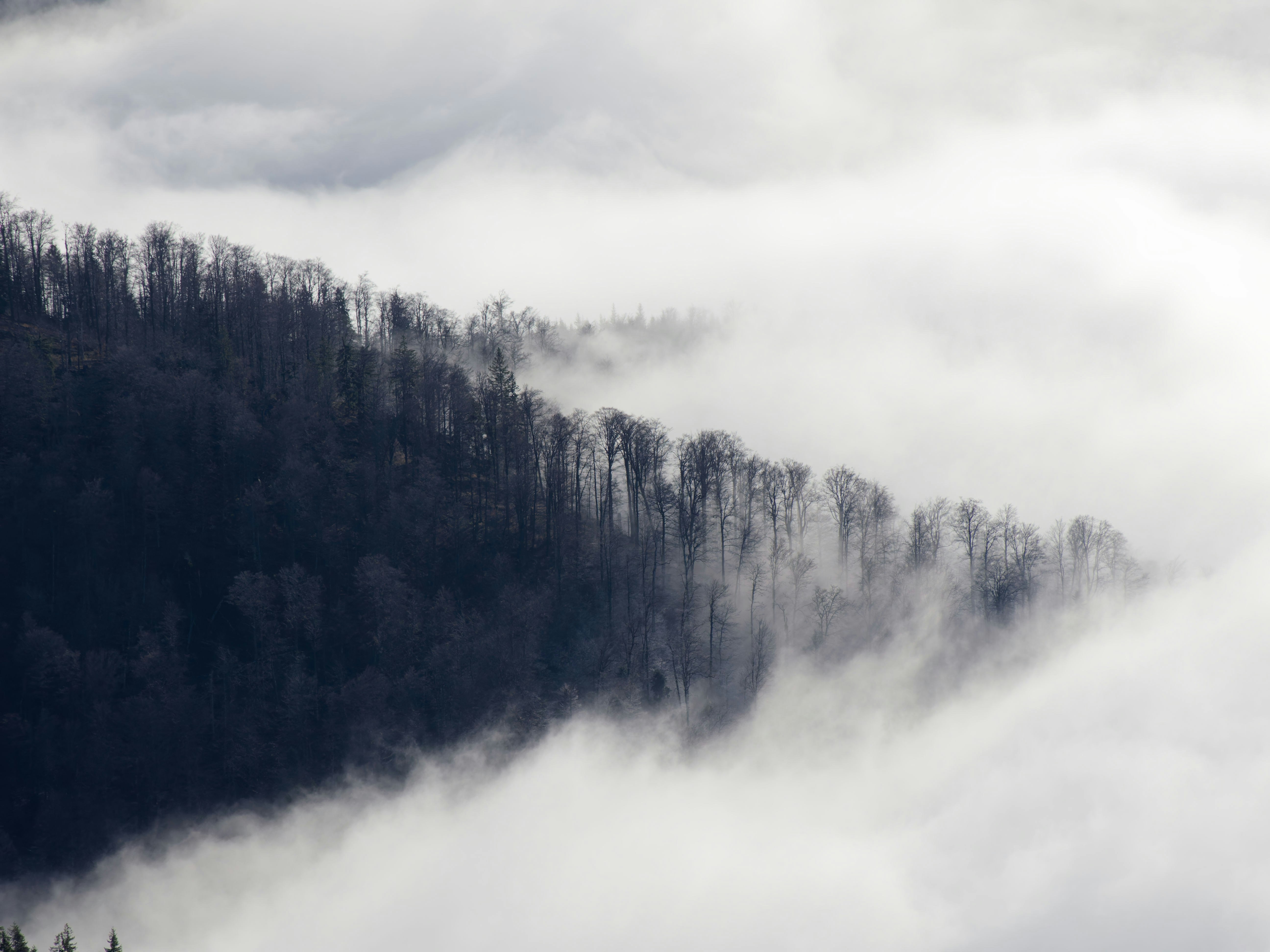 Photo by illes_cristi